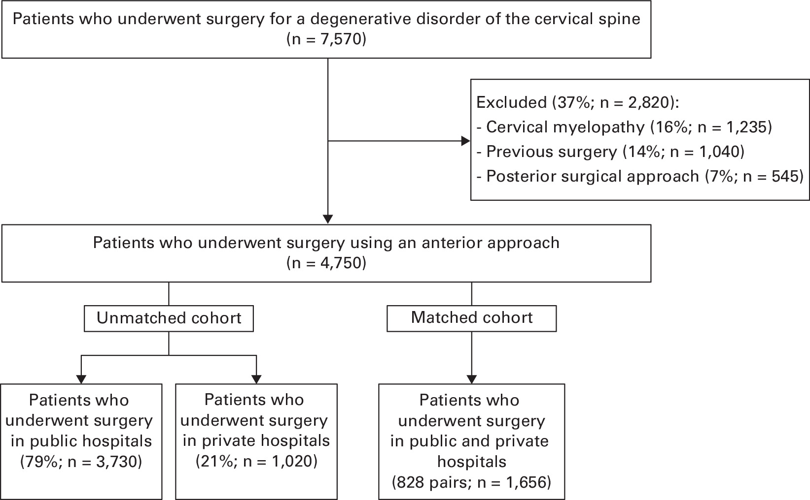 Fig. 1 
          Flow diagram of the patients.
        