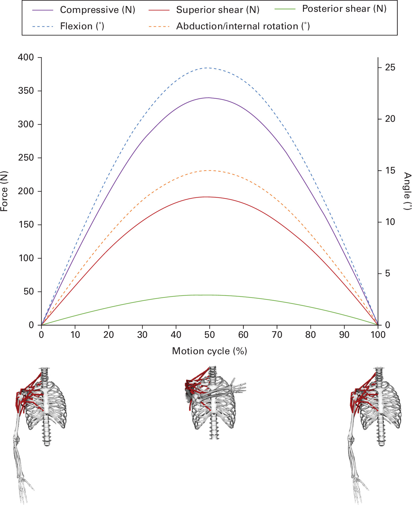 Fig. 2 
            Kinematics and forces for ‘washing the opposite axilla’ applied to each shoulder during each cycle of wear testing: 0% is at the initial position, 50% is at the washing position, and 100% is back at the initial position.
          