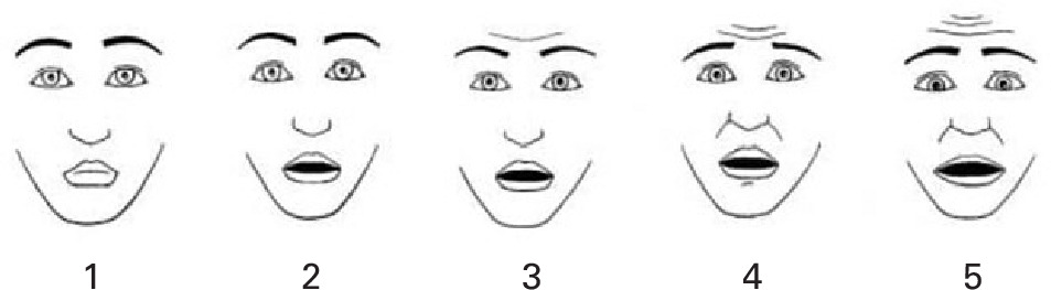 Fig. 2 
            Children’s Fear Scale, ranging from 1 to 5, 0 indicating no fear and 5 indicating the most fear.
          