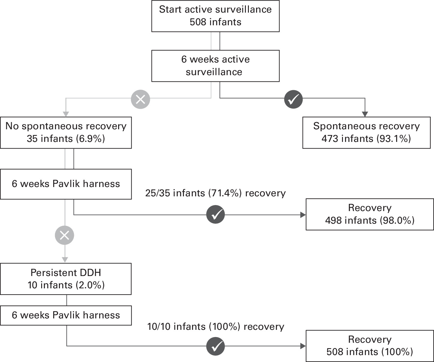 Fig. 2 
          Results of the Graf IIb stable dysplastic hips in the active surveillance treatment protocol. DDH, developmental dysplasia of the hip.
        