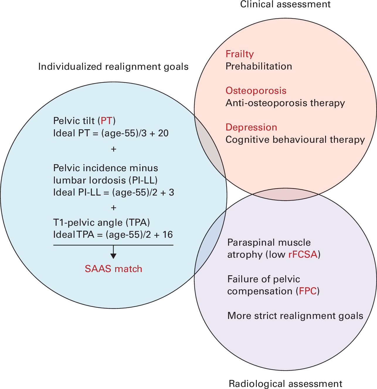 Fig. 4 
          Key factors for preoperative optimization of patients with adult spinal deformity. The sagittal age-adjusted score (SAAS) system is cited from Lafage et al.15 rFCSA, relative functional cross-sectional area.
        