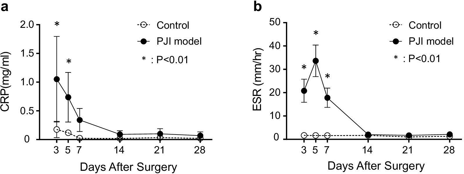 Fig. 2 
            Haematological evidence of inflammation. a) CRP and b) ESR values in the two groups of rabbits (n = 5/group; (n = 4)). *p < 0.01 versus control aseptic screw group, paired t-test. PJI, periprosthetic joint infection.
          