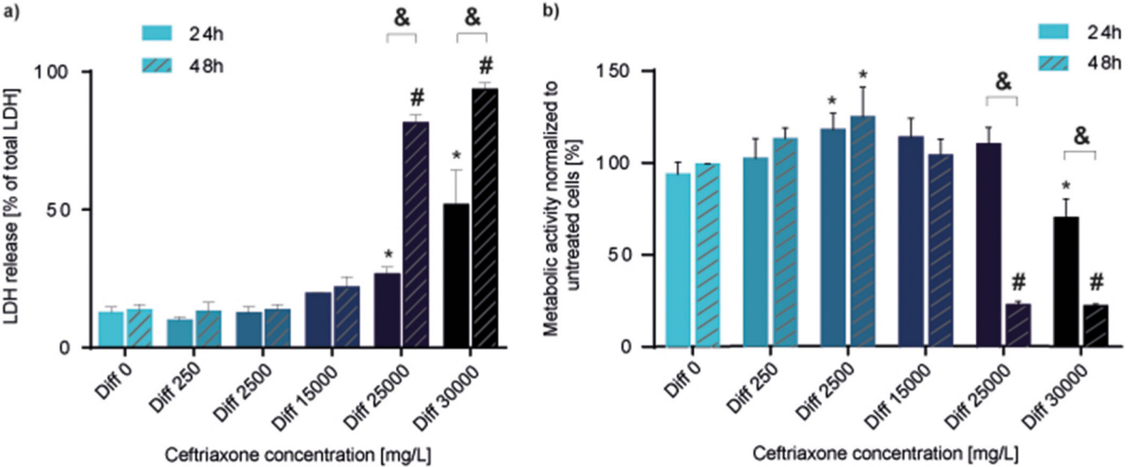 Fig. 1 
            a) Acute cytotoxicity and b) metabolic activity of ceftriaxone on human bone progenitor cells (HBCs) after 24 hours and 48 hours exposure at various concentrations (mean and standard deviation, n = 3). Statistically significant differences compared to Diff 0 are indicated with "*" at 24 hours, "#" at 48 hours, and "&" between 24 hours and 48 hours (* at 25,000 mg/l a)), p = 0.0104, * at 30,000 mg/l a) p < 0.0001, * at 30,000 mg/l b) p = 0.017, &p < 0.0001, #p < 0.0001, two-way analysis of variance). LDH, lactate dehydrogenase.
          