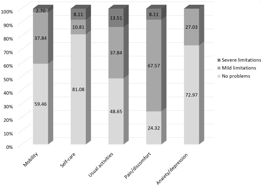 Fig. 3 
          Percentage of individuals showing severe, mild, or no limitations in the EuroQol five-dimension subdimensions.
        