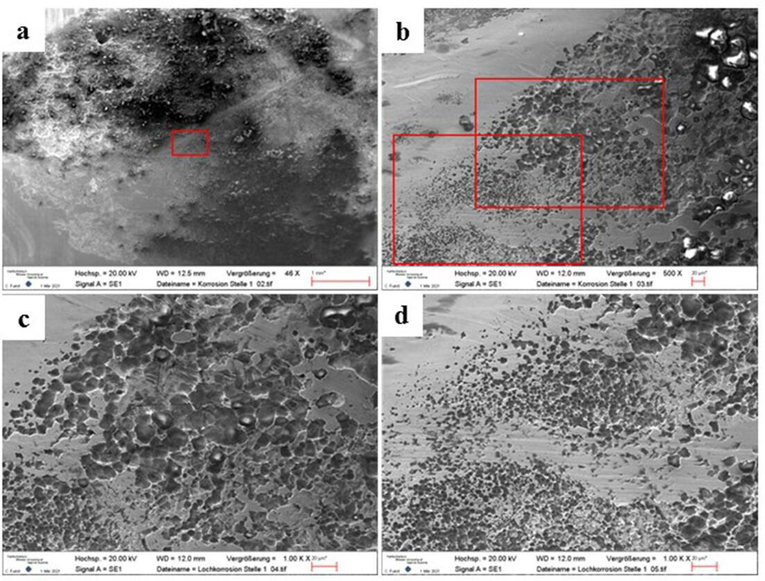 Fig. 7 
            Corrosive attack at the nail’s telescopic part (see Figure 6). Images taken by scanning electron microscopy (SEM). a) 46× magnification with marked area that is shown at 500× magnification in image b). The marked areas of image b) are shown at 1000× magnification in images c) and d). The effect of corrosion can be observed in the trough-shaped loss of material at the nail’s telescopic part. Image a) was taken at a working distance of 12.5 mm and b-d) at a working distance of 12.0 mm.
          