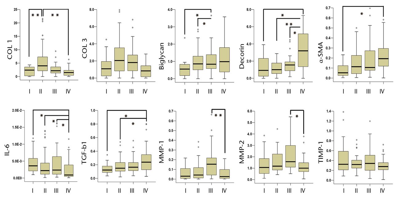 Fig. 1 
            Box plots showing the relative
mRNA expression of collagen type 1 (COL 1), COL 3, biglycan, decorin, α-smooth
muscle actin (α-SMA), interleukin-6 (IL-6), transforming growth
factor-β1 (TGF-β1), matrix metalloproteinase-1 (MMP-1), MMP-2 and
tissue inhibitor of metalloproteinases-1 (TIMP-1). In each box plot
the y-axis represents the normalised ratio, the box the median and
interquartile range, the whiskers the 10th and 90th percentiles
and ° the outliers. (* p <
 0.05, ** p <
 0.01).
          