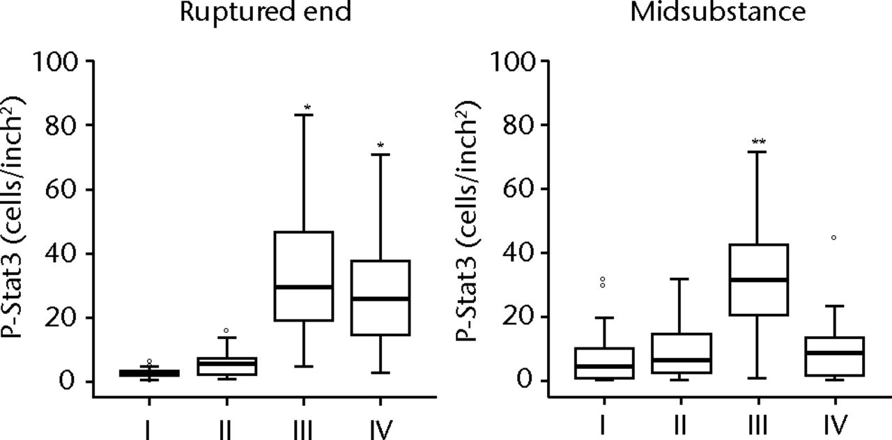 Figs. 2a - 2c 
            
              Figure 2a – haemotoxylin and
eosin staining (H &
 E) and cell distributions positive for CD68,
CD55, Stat3 and P-Stat3 of the ruptured end of the ligament in each
phase. Figures 2b and 2c – box plots showing quantification using
ImageJ software of b) the CD55 positive area and c) the P-Stat3
positive areas for the ruptured and mid areas of the ligament for
each phase. The box represents the median and interquartile range,
the whiskers the 10th and 90th percentiles and ° the outliers (*,
significant difference (p <
 0.01) compared with phases I and
II; **, significant difference compared with phases I, II and IV).
          