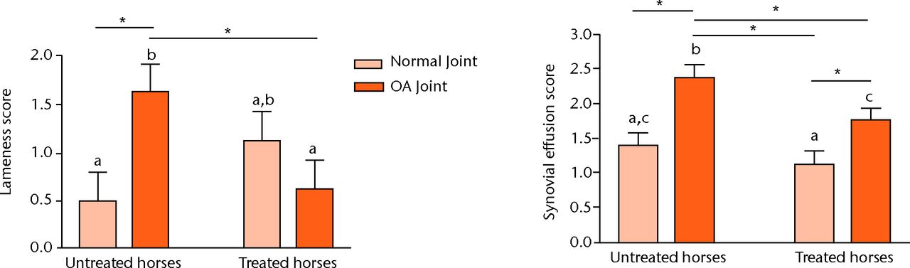 Fig. 6 
            Bar charts showing the effect of gene
transfer 70 days after surgery on lameness score (left) and the
synovial effusion score (right). Different letters indicate a statistical
difference (p <
 0.05) between bars. Alternatively when bars have
the same letter, as for example in the untreated and treated normal
joints, there is no significant difference between these. Lines
with an asterisk (*) linking treatment groups also indicate a statistical
difference between treatment groups. Comparisons marked with (*)
showing significant differences equate with letters on the bars
being different (reproduced with permission from Frisbie DD
et al. Treatment of experimental equine osteoarthritis by
in vivo delivery of the equine interleukin-1 receptor antagonist
gene. Gene Therapy 2002;9:12–20).
          