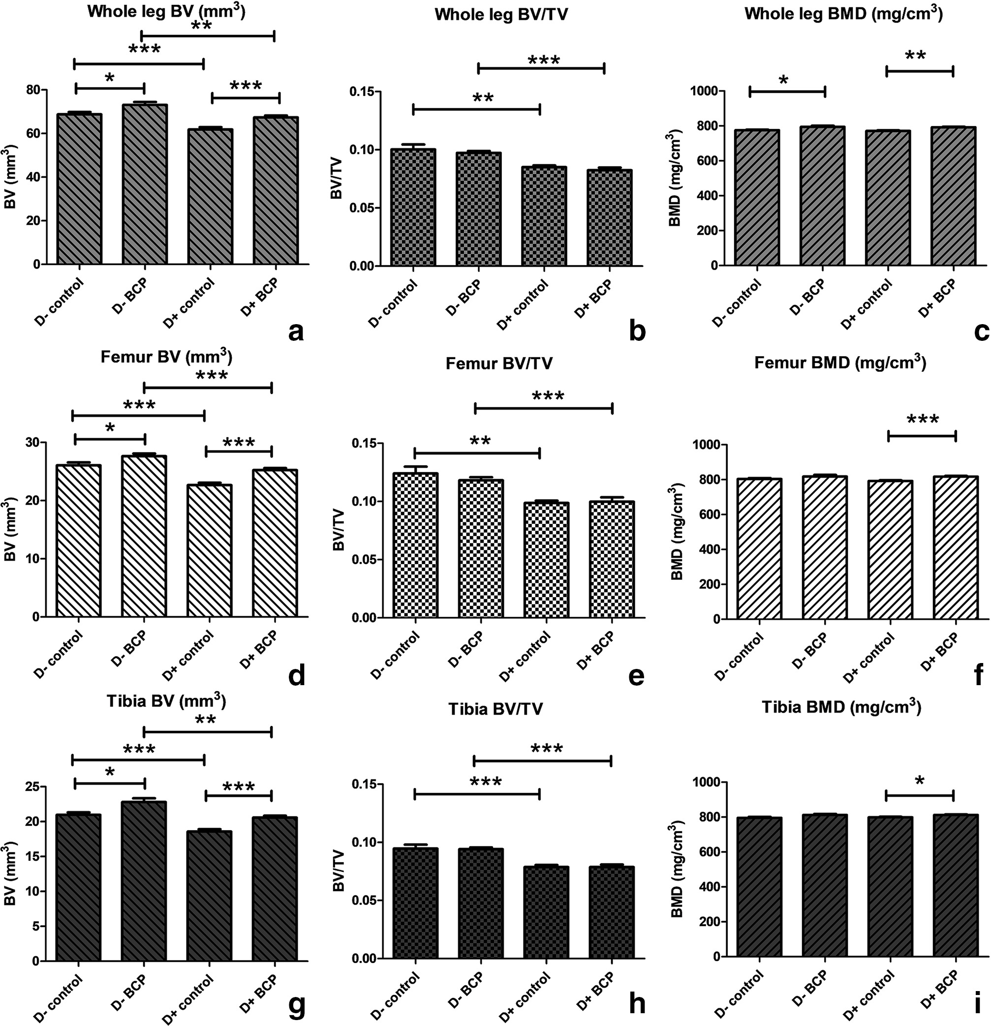 Fig. 3 
            Micro-CT (μCT) of whole leg, femur, and tibia reveals the properties of bone in the presence or absence of vitamin D in mice treated with ß-caryophyllene (BCP). Mice were fed a vitamin D-sufficient or -deficient diet and received control or BCP treatment, as described in the legend to Figure 1. Bone samples from the whole leg, femur, and tibia of mice from each treatment group were subjected to μCT using a μCT 40 desktop μCT scanner (Scanco Medical, USA). a), b), and c) reflect the results of scans of whole leg; d), e), and f) show scans of femur; and g), h), and i) show scans of tibia. Bone volume (BV) is depicted in panels a), d), and g); bone volume/total volume (BV/TV) is shown in panels b), e), and h); bone mineral density (BMD) is depicted in panels c), f), and i). *p < 0.050; **p < 0.01; ***p < 0.001.
          
