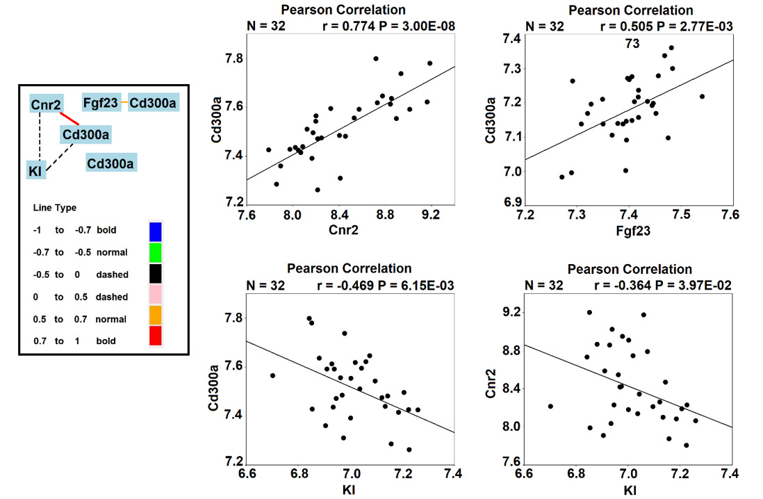 Fig. 7 
            Correlations between fibroblast growth factor 23 (Fgf23), klotho, cannabinoid type 2 receptor (Cnr2), and CD300a in mice.
          