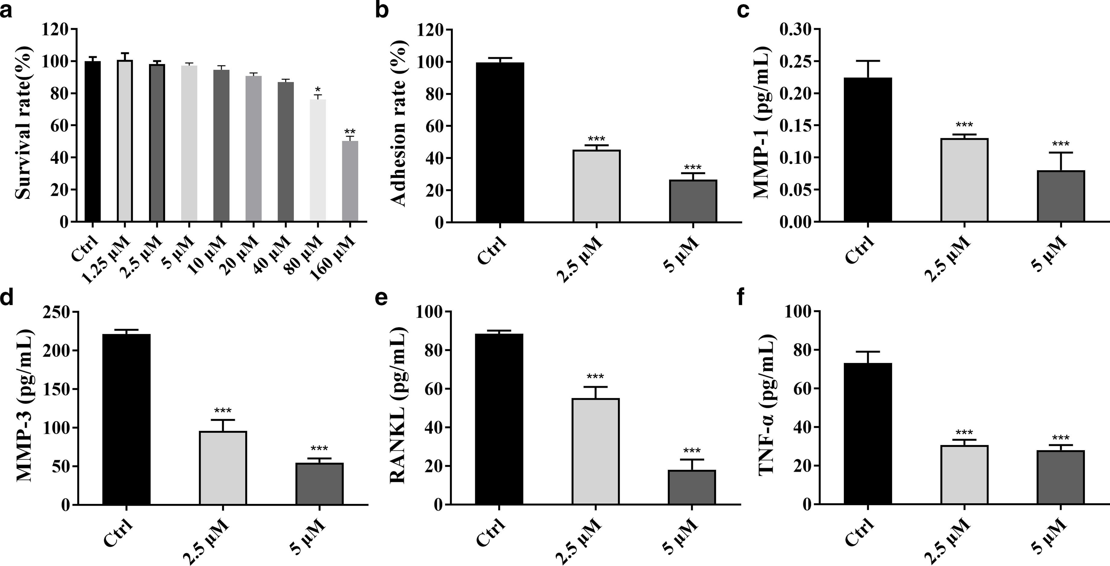 Fig. 2 
            The effect of berberine on proliferation and adhesion of rheumatoid arthritis fibroblast-like synoviocytes (RA-FLSs). a) The results of Cell Counting Kit-8. b) Cell adhesion test results. c) to f) Changes of matrix metalloproteinase (MMP)-1, MMP-3, receptor activator of nuclear factor kappa-Β ligand (RANKL), and tumour necrosis factor alpha (TNF-α) (*p = 0.05, **p = 0.010, ***p < 0.001, n = 3).
          