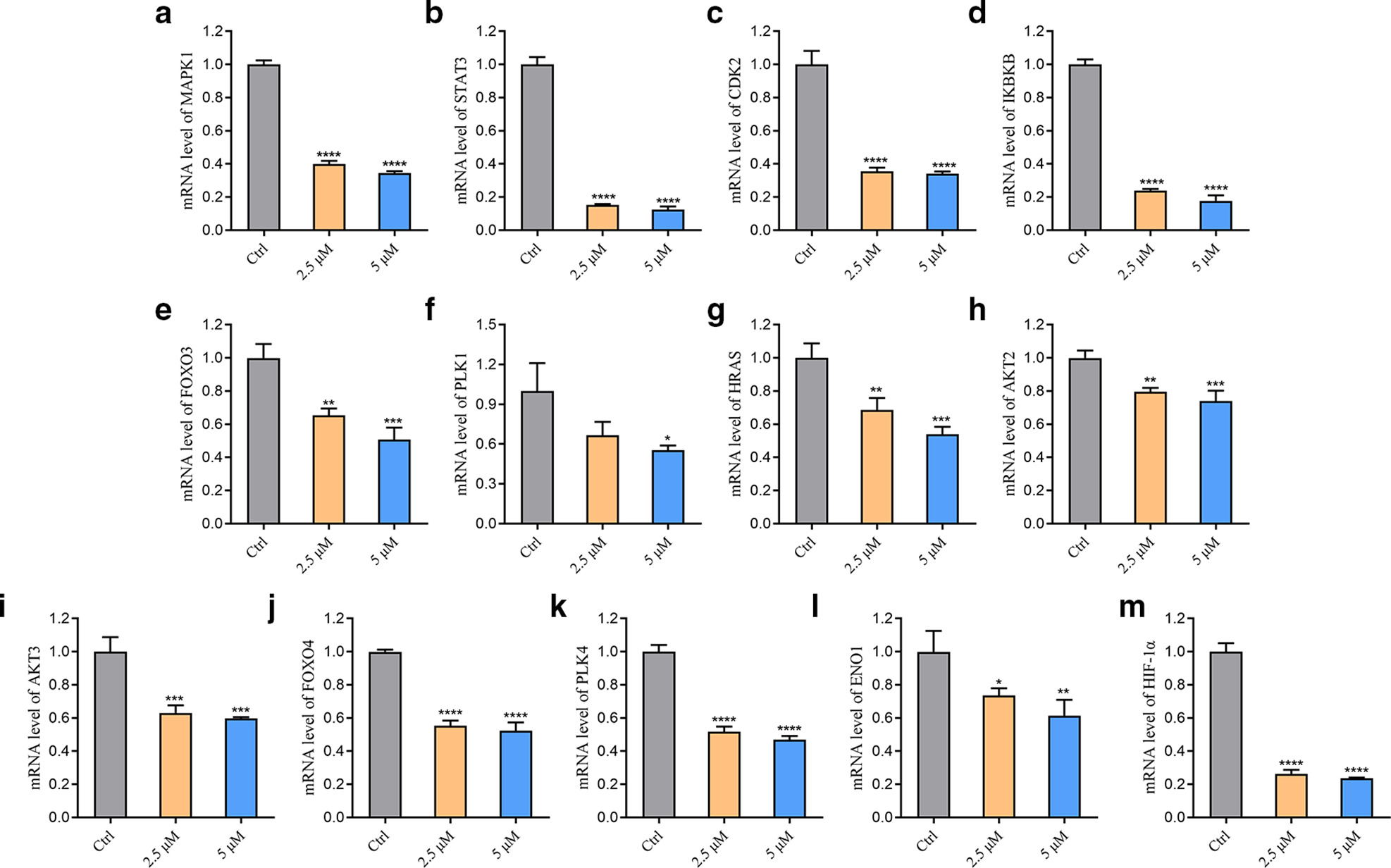 Fig. 7 
            Effect of berberine on core transcripts of forkhead box O (FOXO) and hypoxia-inducible factor 1 (HIF-1) signalling pathway. a) to m) The effect of berberine on the transcriptional levels of mitogen-activated protein kinase 1 (MAPK1), signal transducer and activator of transcription 3 (STAT3), cyclin-dependent kinase 2 (CDK2), inhibitor of nuclear factor kappa-B kinase subunit β (IKBKB), FOXO3, polo-like kinase 1 (PLK1), HRAS, RAC serine/threonine protein kinase 2 (AKT2), AKT3, FOXO4, PLK4, enolase 1 (ENO1), and HIF-1 α after 24-hour administration (*p < 0.050, **p < 0.0, ***p < 0.001, ****p < 0.0001; n = 3). mRNA, messenger RNA.
          