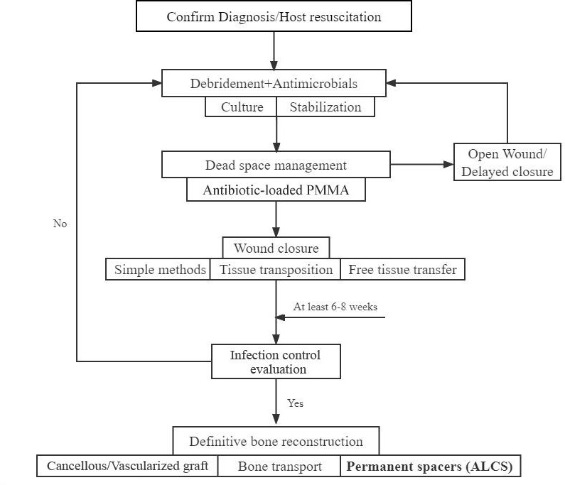 Fig. 1 
            Staged treatment protocol for limb osteomyelitis remaining bone defects. ALCS, antibiotic‐loaded cement spacer; PMMA, poly(methyl methacrylate).
          
