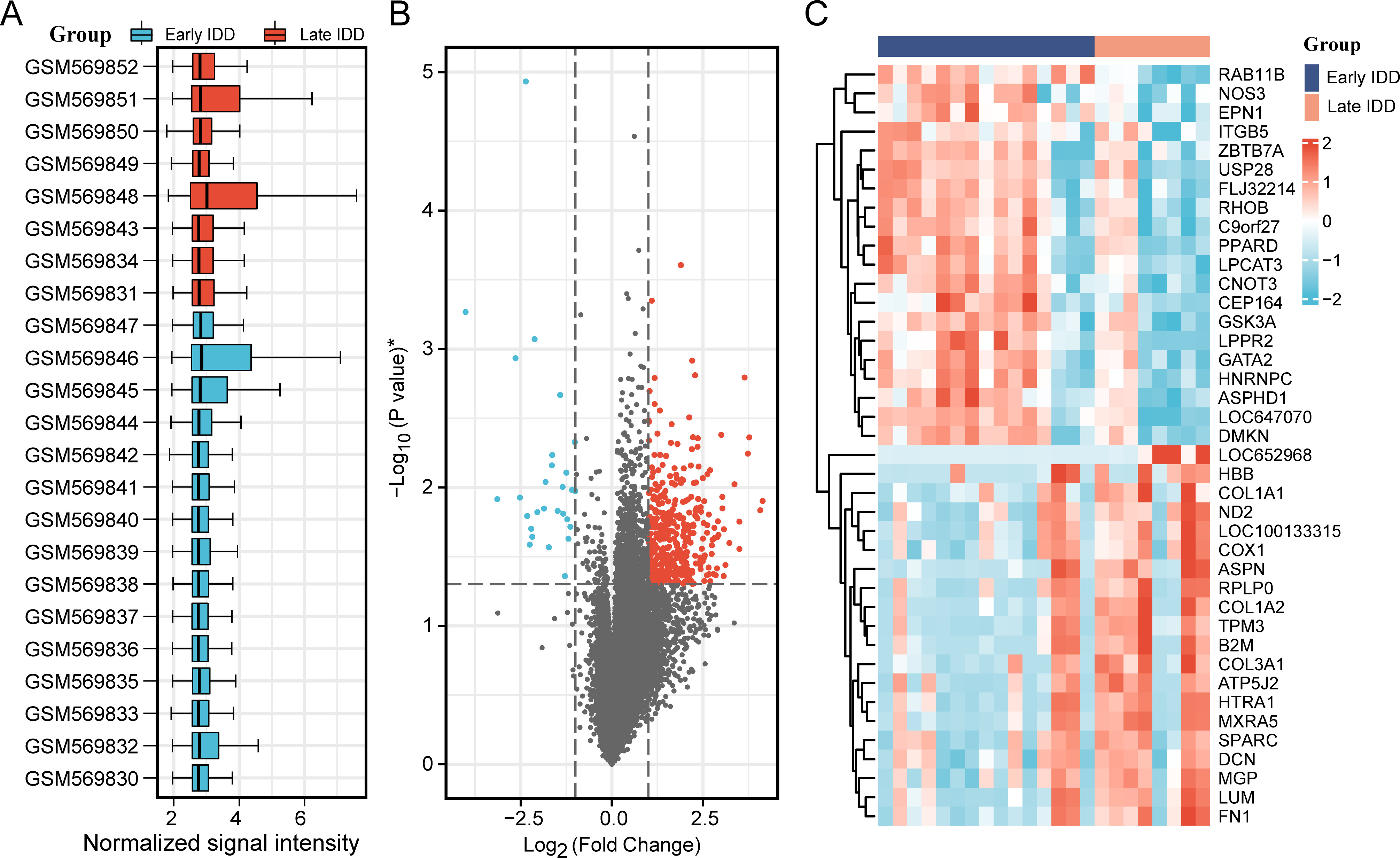 Fig. 2 
            Identification of differentially expressed genes (DEGs). a) GSM numbers correspond to Gene Expression Omnibus (GEO) samples. Box plots of gene probe expression levels in the samples. The mean gene expression values in both samples are almost identical, indicating normalized data with high consistency. b) Volcano plot of DEGs in the early and late intervertebral disc degeneration (IDD) groups. Red dots indicate upregulation, and blue dots indicate downregulation. c) Heat map of the top 20 DEGs for high and low expression. Red represents upregulated genes, and blue represents downregulated genes. *Independent-samples t-test.
          