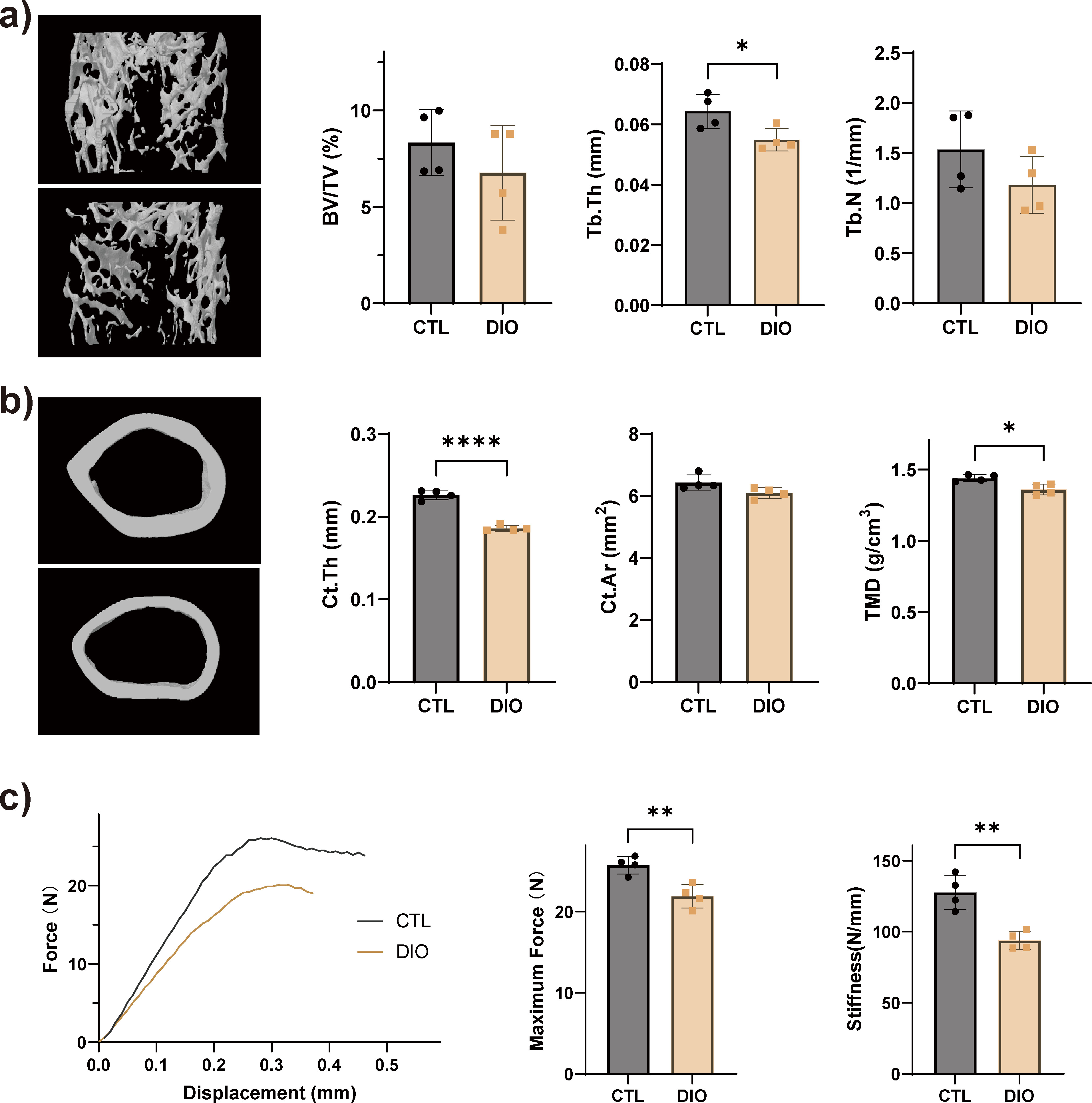 Fig. 3 
            Obesity reduces bone mass and bone strength. Representative micro-CT (μCT) reconstruction images and microarchitecture quantification of femoral a) trabecular distal metaphysis and b) mid-diaphyseal cortical bone in control (CTL) and diet-induced obese (DIO) mice. c) The mechanical properties of the tibia were quantified using a three-point bending test; stiffness and maximum force were reduced in DIO animals (n = 4). Data are expressed as means and standard deviations. *p < 0.05, **p < 0.01, ****p < 0.0001 compared with CTL (independent-samples t-test). BV/TV, trabecular bone mass; Ct.Ar, cortical area; Ct.Th, cortical bone thickness; Tb.N, trabecular number; Tb.Th, trabecular thickness; TMD, tissue mineral density.
          