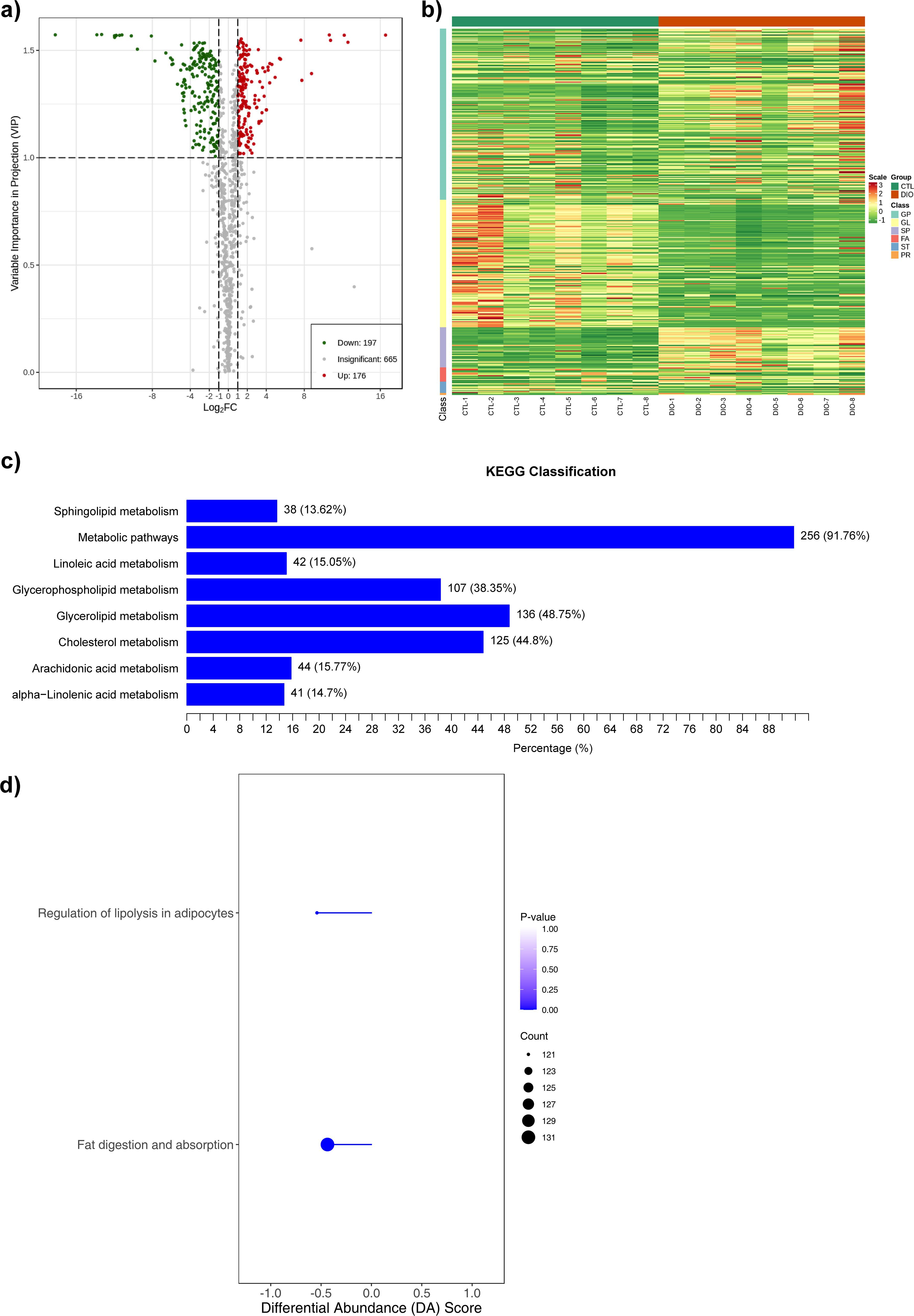 Fig. 4 
            Lipidomics sequencing and functional enrichment analysis. a) Volcano diagram of differential metabolites (n = 8), with each point representing one metabolite; the green points represent downregulated metabolites (fold change (FC) ≤ 0.5) and the red points represent upregulated metabolites (FC ≥ 2); the x-axis represents the logarithmic value (log2FC) of the relative content difference multiple of a metabolite in two groups of samples, and the y-axis represents the variable importance in projection (VIP) value. b) A cluster heat map of the differential metabolites (n = 8). The x-axis shows sample information and the y-axis shows differential metabolite information. The reported p-value represents the actual value derived from the implementation of the hypergeometric test. c) The main enriched metabolic pathways (n = 8). The y-axis shows the Kyoto Encyclopedia of Genes and Genomes (KEGG) metabolic pathway and the x-axis shows percentage. d) Overall changes in the KEGG metabolic pathways (n = 8). Metabolic pathway names on the y-axis and differential abundance (DA) scores on the x-axis. The hypergeometric test's p-value (< 0.05) indicated significant enrichment of pathways. FA, fatty acyls; GL, glycerolipids; GP, glycerophospholipids; PR, prenol lipids; SP, sphingolipids; ST, sterol lipids.
          