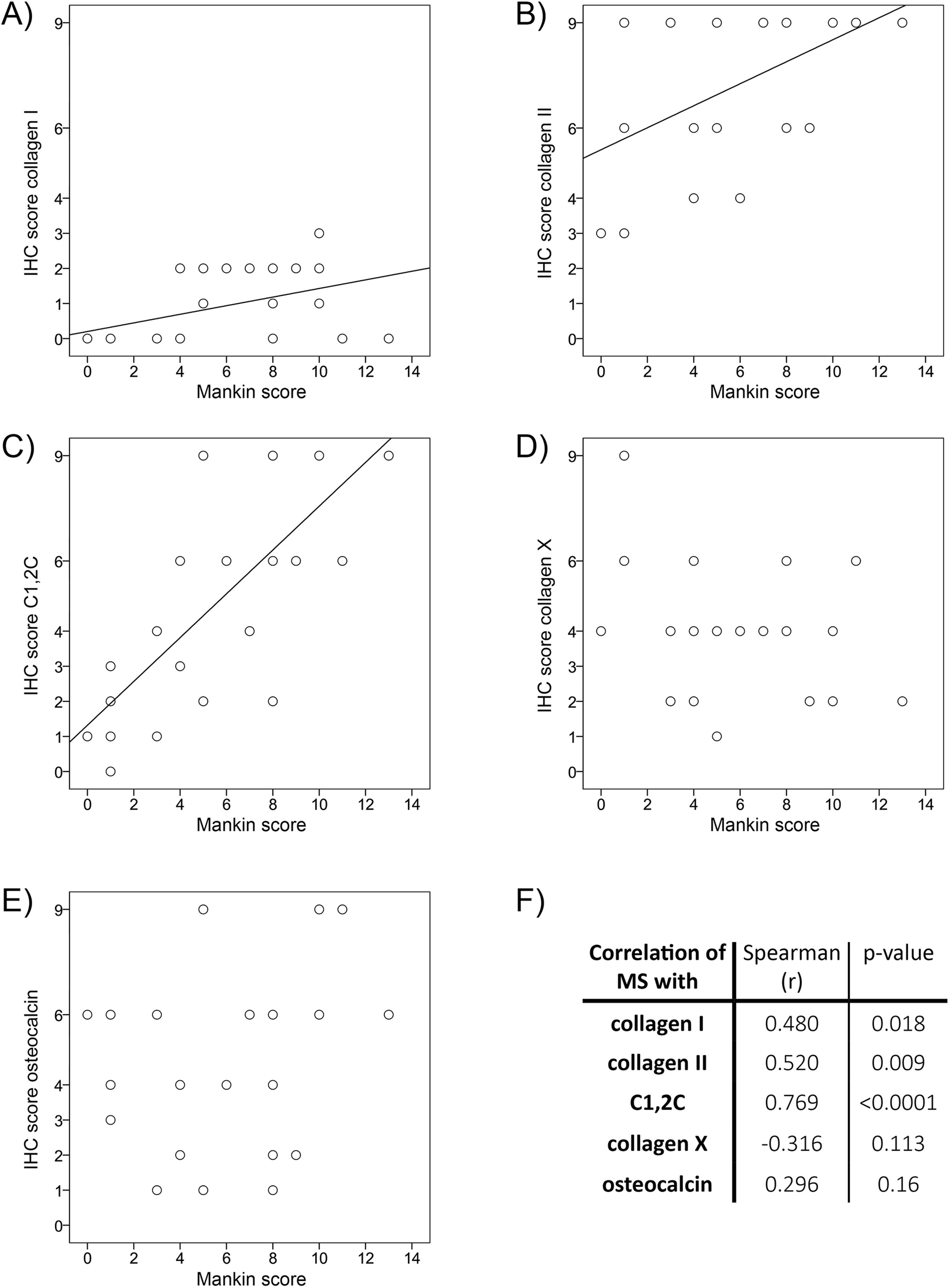 Fig. 6 
          Correlation of immunohistochemical (IHC) markers with the degeneration of humeral cartilage. IHC scores of a) collagen type I, b) collagen type II, c) the C1,2C neoepitope, d) collagen type X, and e) osteocalcin were plotted against the Mankin score (MS) of the respective specimen. Each circle corresponds to one clinical specimen included in this study (n = 12 omarthrosis (OmA) patients, n = 7 cuff tear arthropathy (CTA) patients, and n = 4 controls). f) Spearman correlation coefficients and exact p-values of the data shown in a) to e) are given.
        