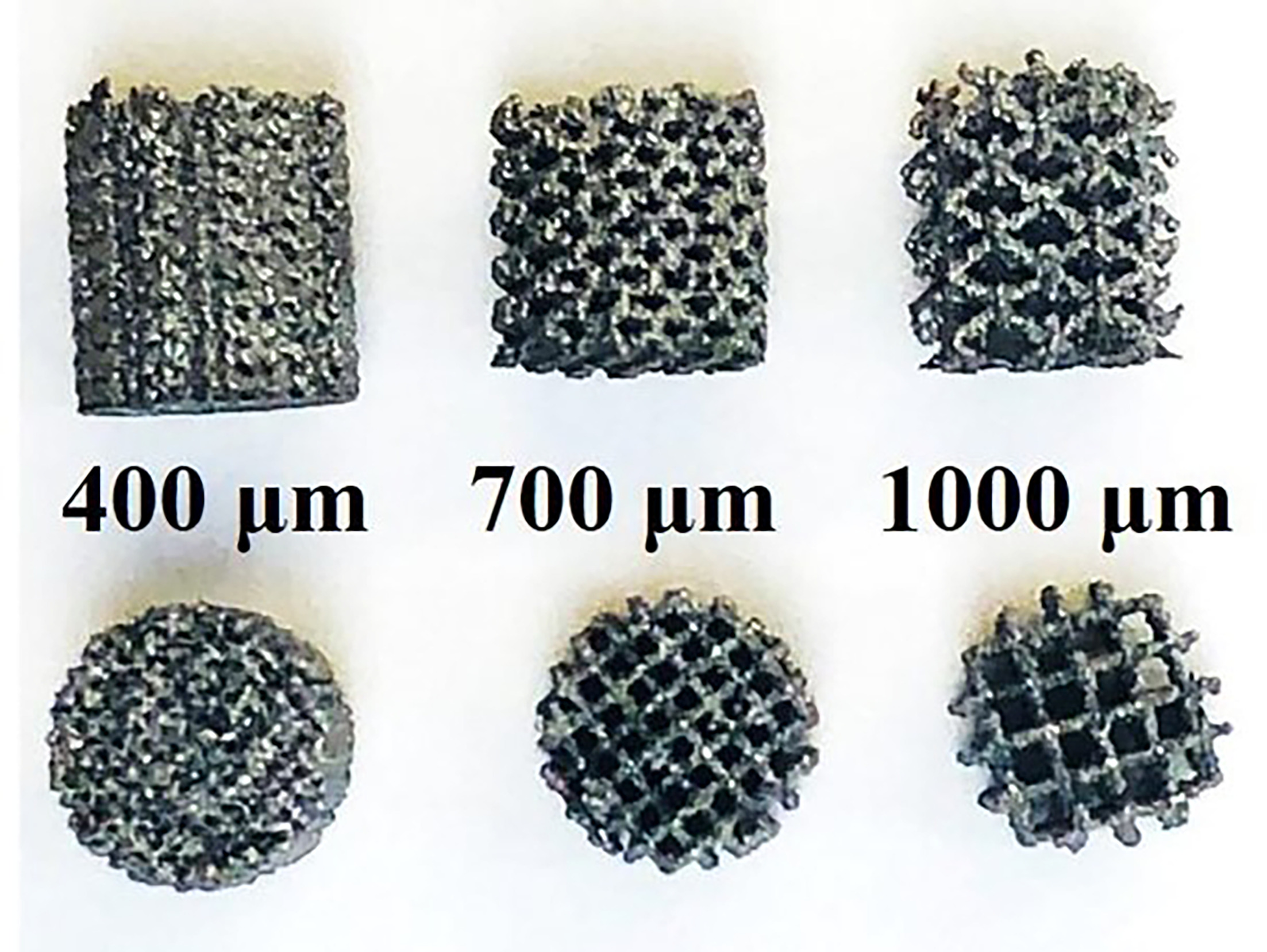 Fig. 2 
            Morphology and surface structure of 3D-printed titanium cylinders with well defined pore sizes.
          