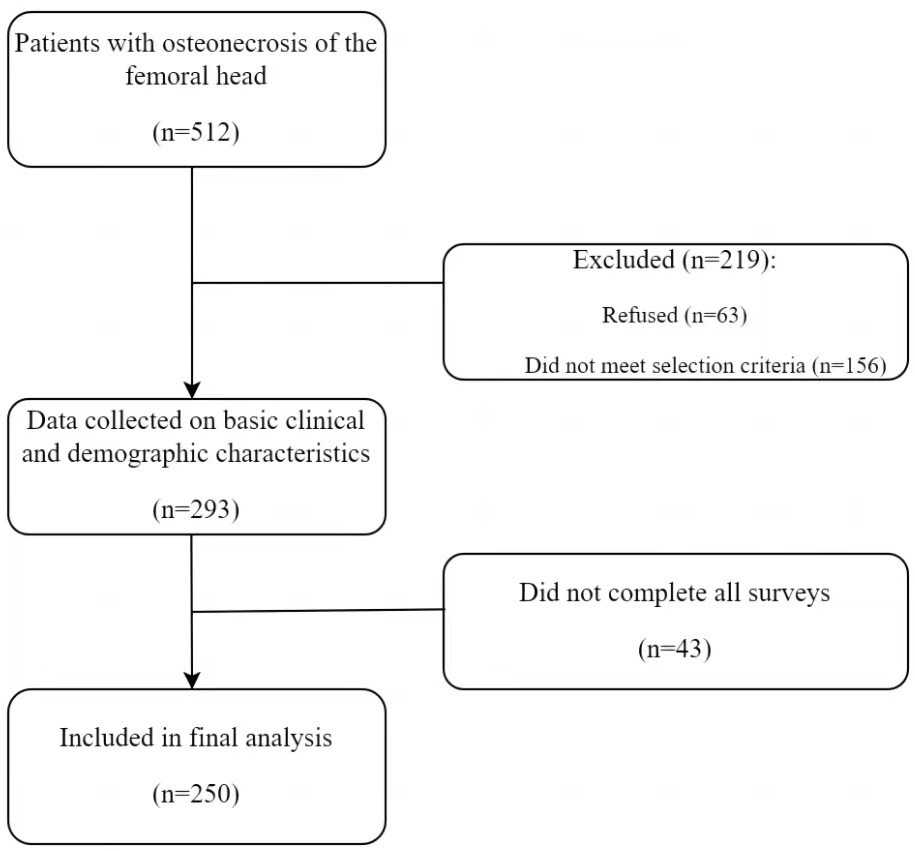 Fig. 1 
          Flowchart of participant selection.
        