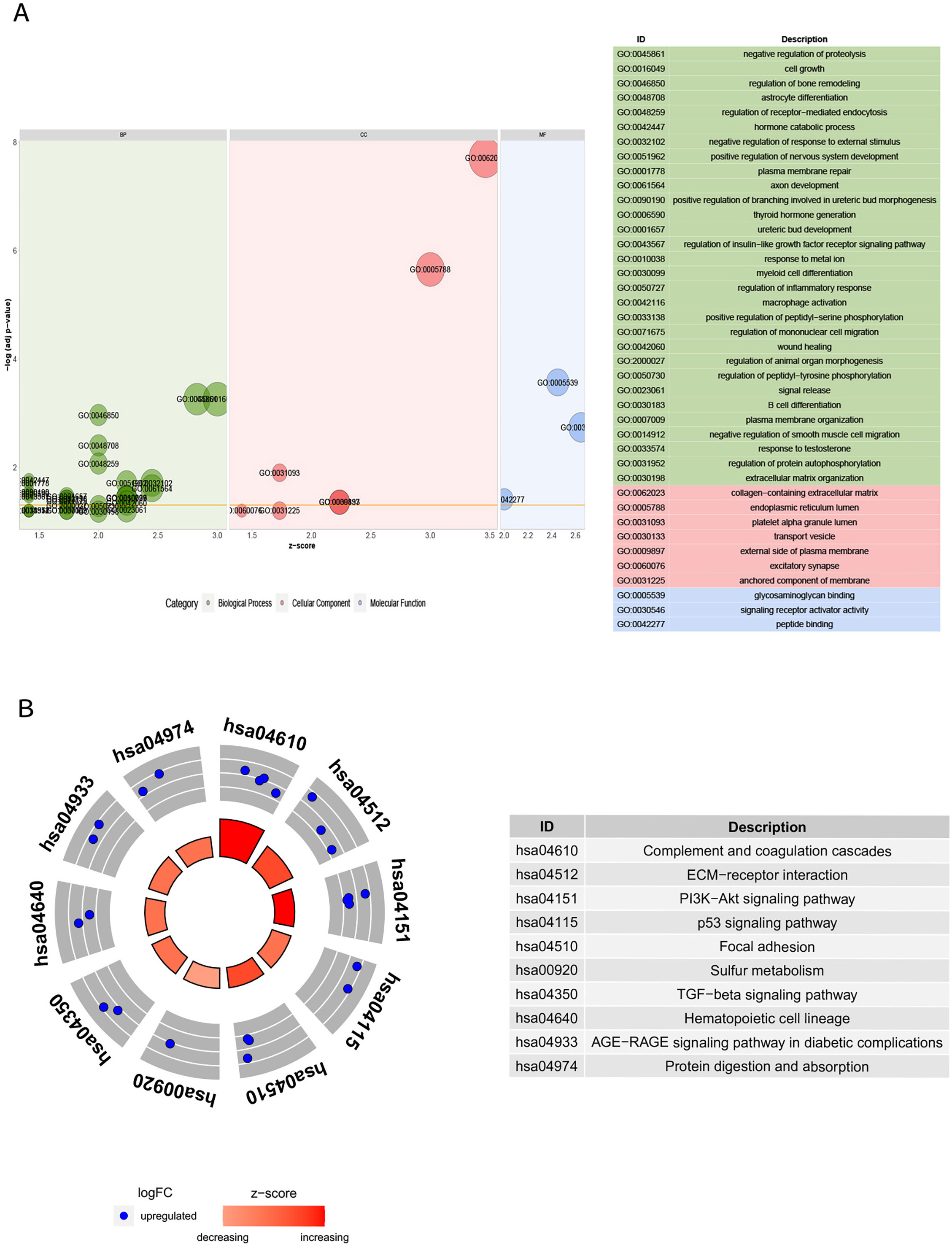 Fig. 2 
            Functional annotation of the overlapping characteristic genes. a) Gene Ontology functional analysis of the overlapping characteristic genes. b) Kyoto Encyclopedia of Genes and Genomes pathway analysis of the overlapping characteristic genes.
          