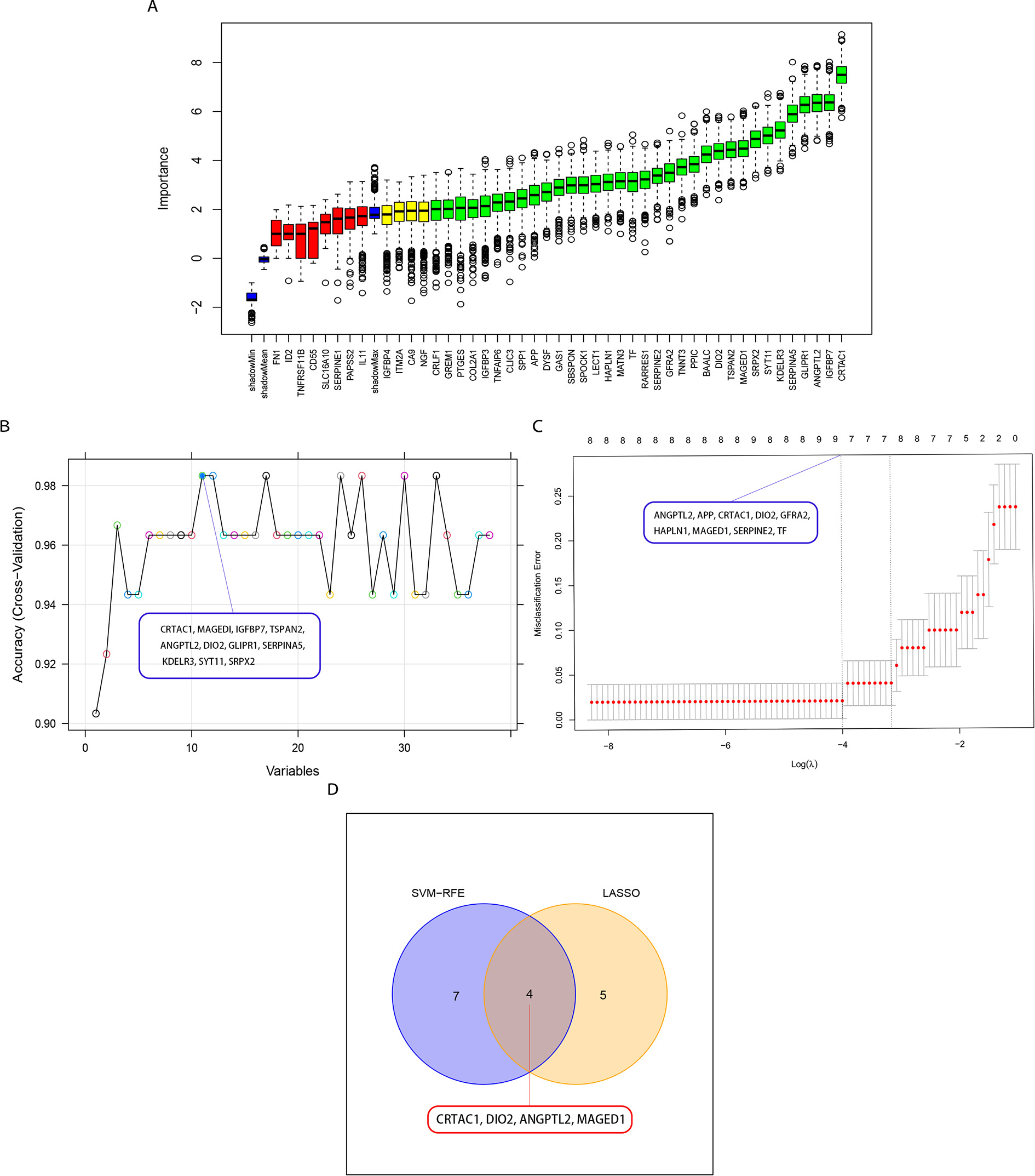 Fig. 3 
            Identification of key characteristic genes. a) Characteristic genes that were closely related to the study group were screened with the Boruta algorithm (green and yellow). b) Validation of the optimal gene expression signature by support vector machine–recursive feature elimination (SVM–RFE) algorithm selection. The colours in the figure represent the corresponding model accuracy for different gene numbers. c) The optimal lambda value was determined when the misclassification reached the minimum through the lasso regression algorithm. d) Venn diagram of the key characteristic genes intersected by the SVM–RFE and LASSO algorithms.
          