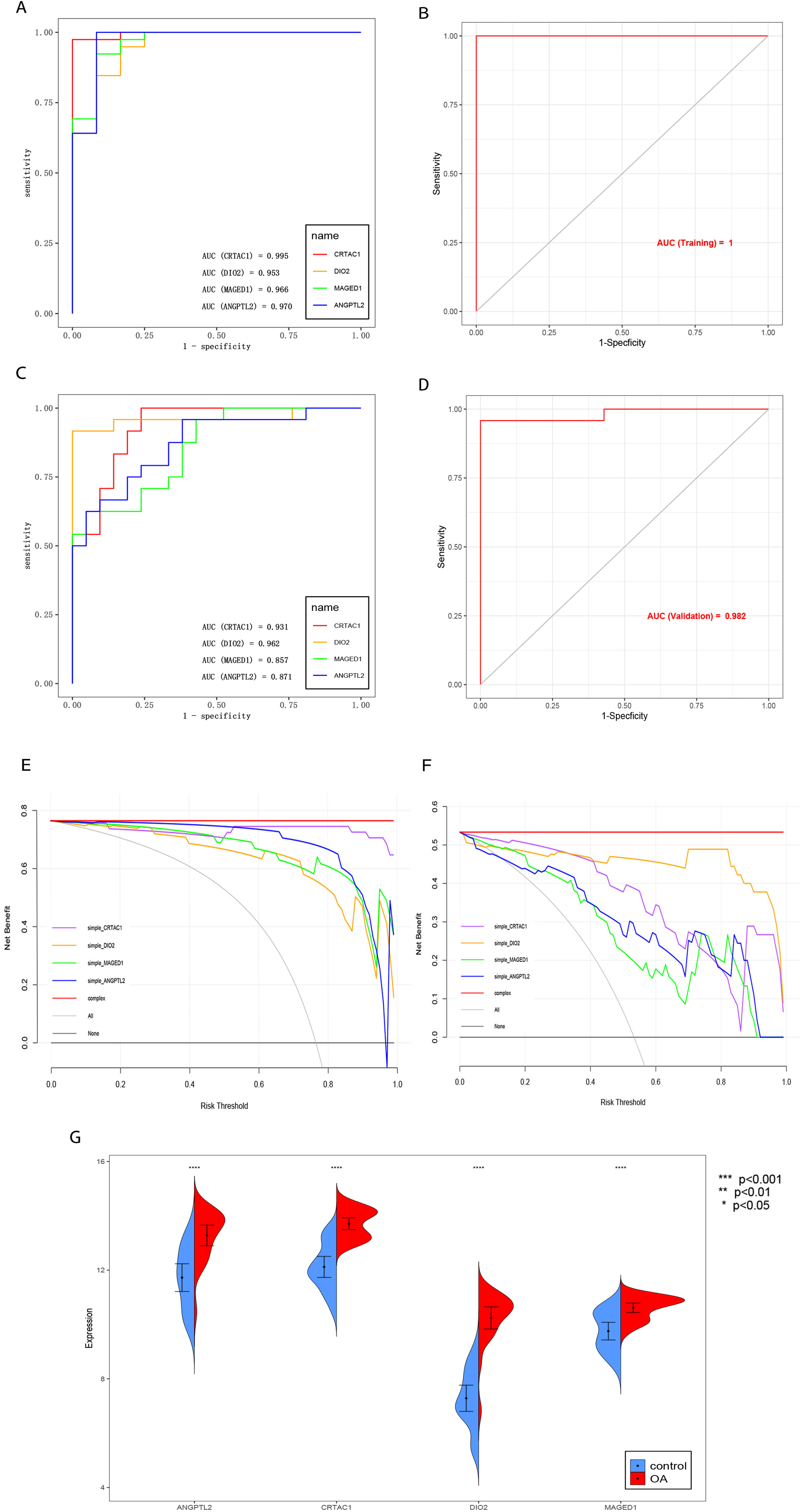 Fig. 4 
            Diagnostic value of the key characteristic genes. a) Receiver operating characteristic (ROC) analysis of the independent diagnostic efficacy of the four key genes in the training cohort (GSE169077, GSE57218). b) ROC analysis of the overall diagnostic efficacy of the four key genes in the training cohort. c) ROC analysis of the independent diagnostic efficacy of the four key genes in the external validation cohort (GSE89408, GSE143514). d) ROC analysis of the overall diagnostic efficacy of the four key genes in the external validation cohort. e) Decision curve analysis to evaluate the potential clinical value in the training cohort. f) Decision curve analysis to evaluate the potential clinical value in the external validation cohort. g) Differential expression levels of the four key genes between the osteoarthritis (OA) and normal groups in the external validation cohort (Mann–Whitney U test).
          