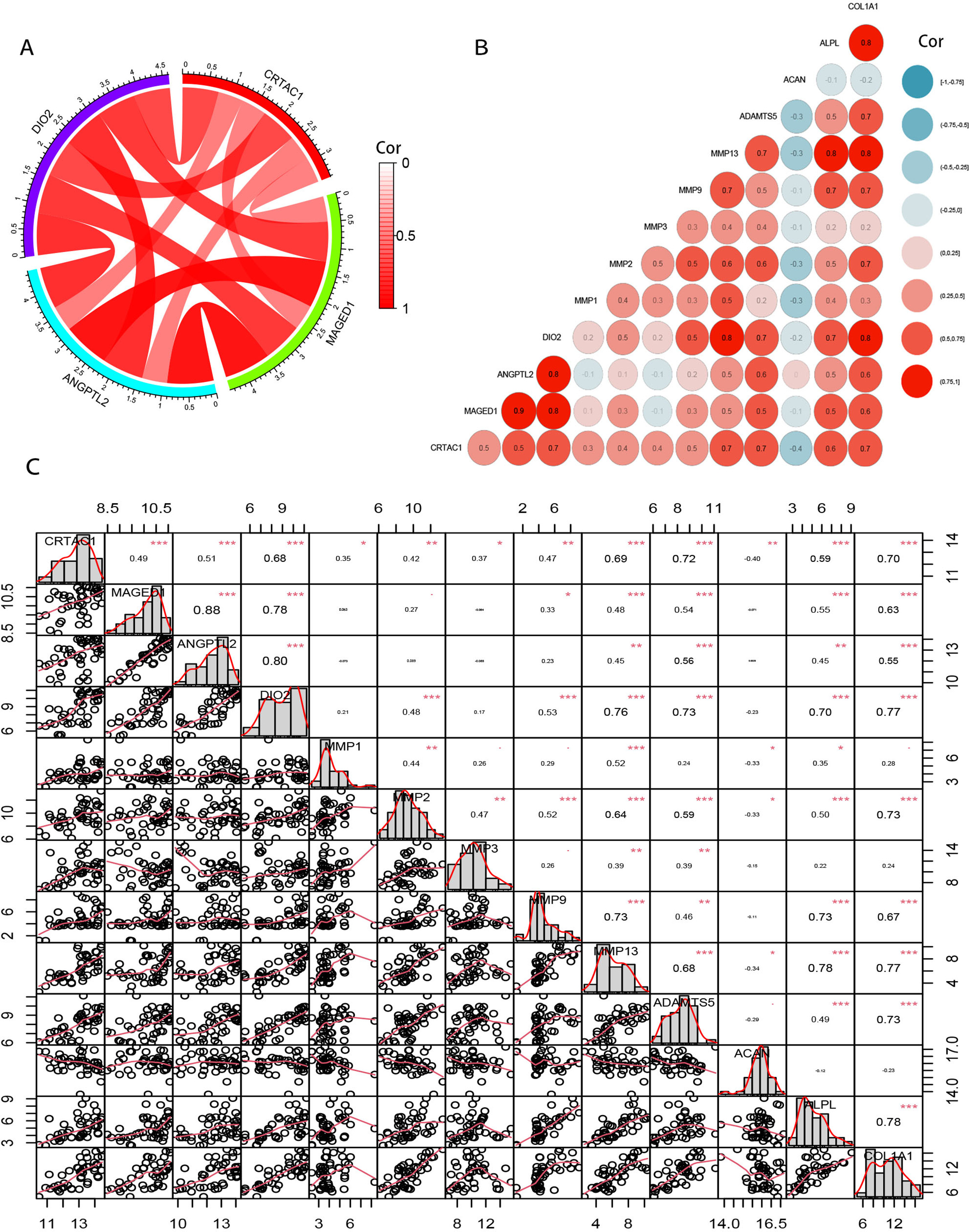 Fig. 7 
            Correlations of key genes with pathological changes in osteoarthritis (OA). a) Correlation analysis among the four key genes; darker red indicates stronger positive correlations. b) The correlations of four key genes with matrix metalloproteinases (MMPs), a disintegrin and metalloproteinase with thrombospondin motifs 5 (ADAMTS-5), ACAN, alkaline phosphatase (ALPL), and collagen type I alpha 1 (COL1A1); darker red indicates stronger positive correlations and darker blue indicates stronger negative correlations. c) The specific value of the correlation and statistical significance of the four key genes with MMPs, ADAMTS-5, ACAN, ALPL, and COL1A1 (Spearman correlation analysis; *p < 0.05, **p < 0.01, and ***p < 0.001).
          