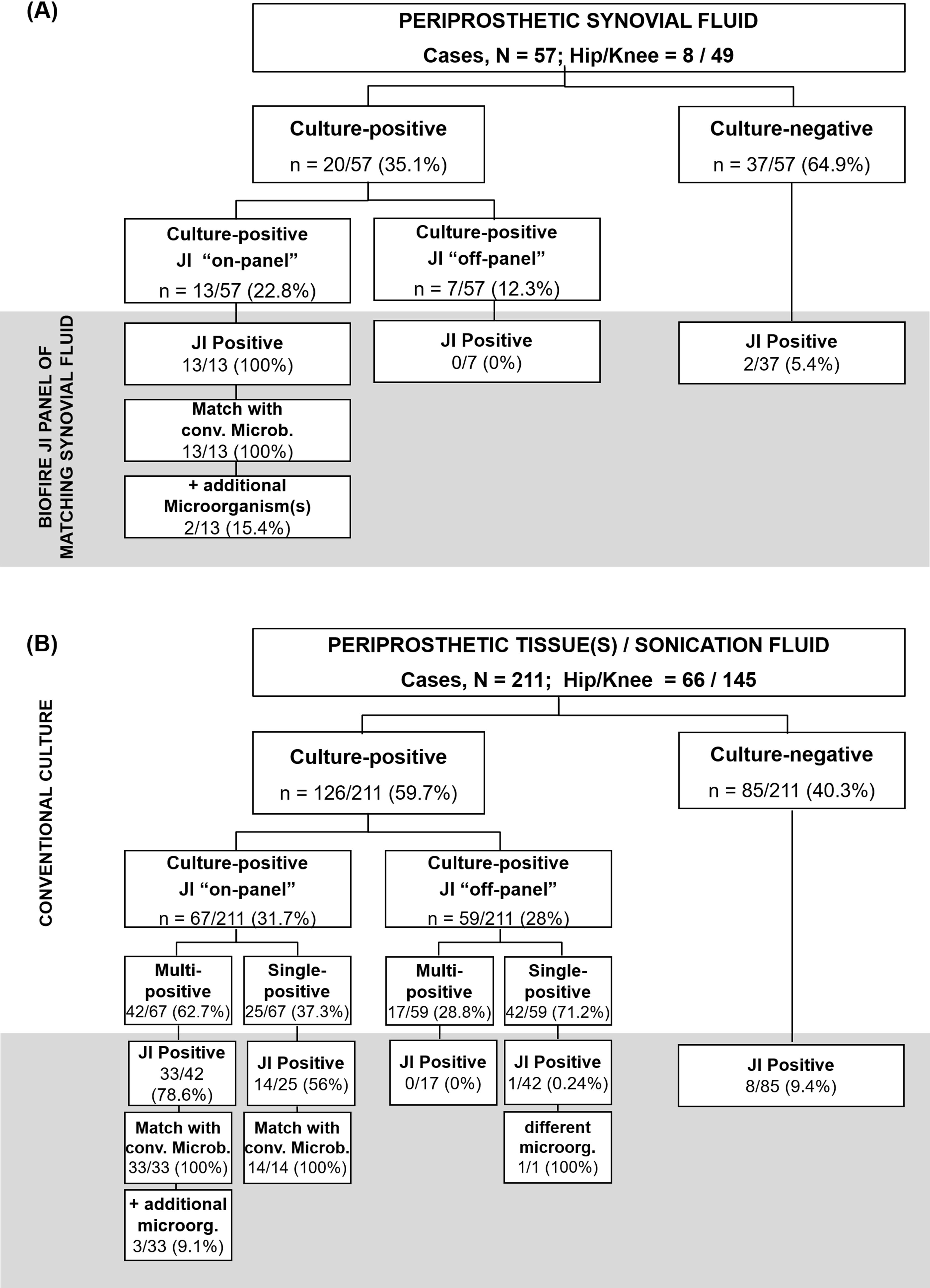 Fig. 2 
            Comparison of results obtained using conventional microbiology methods and the BioFire Joint Infection (JI) panel technology when the comparison of the matched synovial fluid (SF) was made either a) to the SF culture result, or b) to the culture result(s) of tissue(s) and/or sonication fluid. Cases were classified as JI 'on-panel', 'off-panel', and culture-negative according to the initial culture results. JI positive, positive detection with the JI panel; match with conv. Microb. (concordant with conventional microbiology), concordant result between JI panel and culture methods; match with conv. + additional microorg. (concordant with conventional microbiology + additional microorganisms), concordant result between JI panel and microbiological analysis with additional microorganisms; different microorg. (different microorganisms), JI panel positive result with a different microorganism than that identified by culture.
          