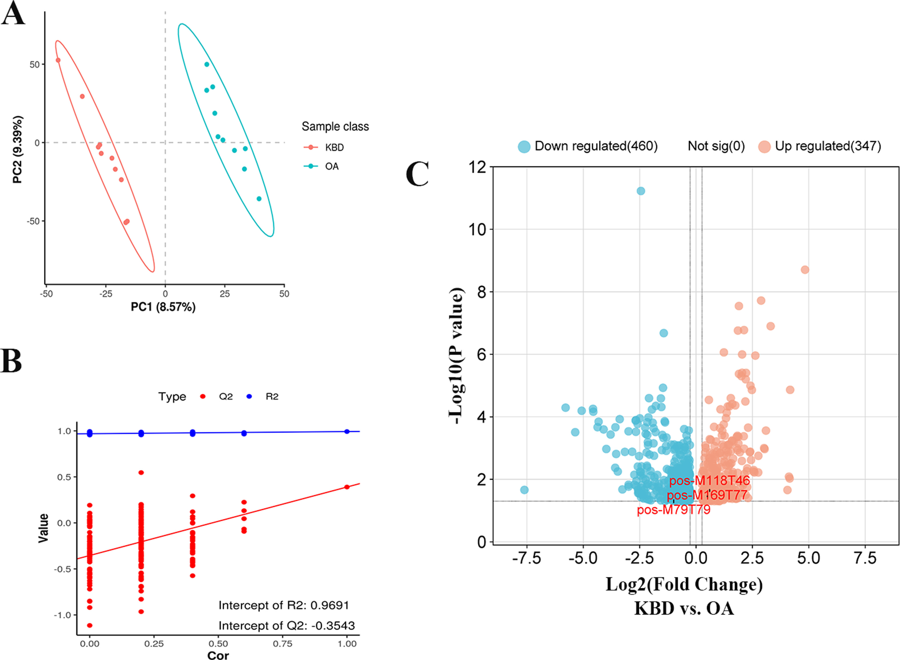 Fig. 2 
            Significantly changed molecular features between Kashin-Beck disease (KBD) and osteoarthritis (OA). a) Score plots of partial least squares discriminant analysis (PLS-DA) of the positive and negative modes from KBD patients and OA patients. b) Validation plot for PLS-DA model. The Y-axis intercepts were R2 (0.0, 0.9691) and Q2 (0.0, -0.3543). The criteria for stability and credibility are as follows: all permuted R2 and Q2 values on the left-bottom corner are lower than the associated initial values (top-right corner), and the Q2 regression line in red has a negative intercept. c) The volcano plot of 807 negative and positive detected features between KBD and OA patients. All p-values in c) were calculated using independent-samples t-test. Cor, correlation coefficient.
          