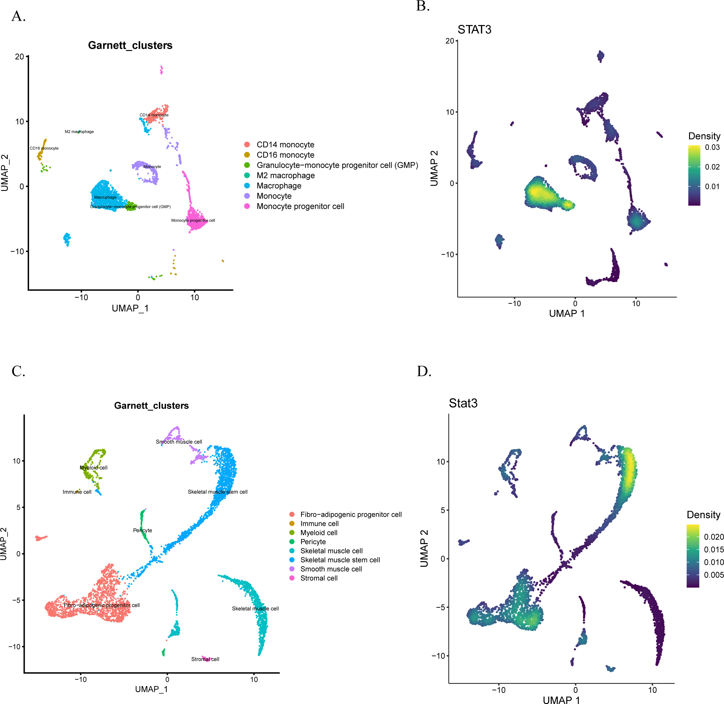 Fig. 5 
            Single-cell analysis. a) Uniform manifold approximation and projection (UMAP) dimensionality reduction map (osteoporosis). b) Signal transducer and activator of transcription 3 (STAT3) density map (osteoporosis). c) UMAP dimensionality reduction map (sarcopenia). d) STAT3 density map (sarcopenia).
          