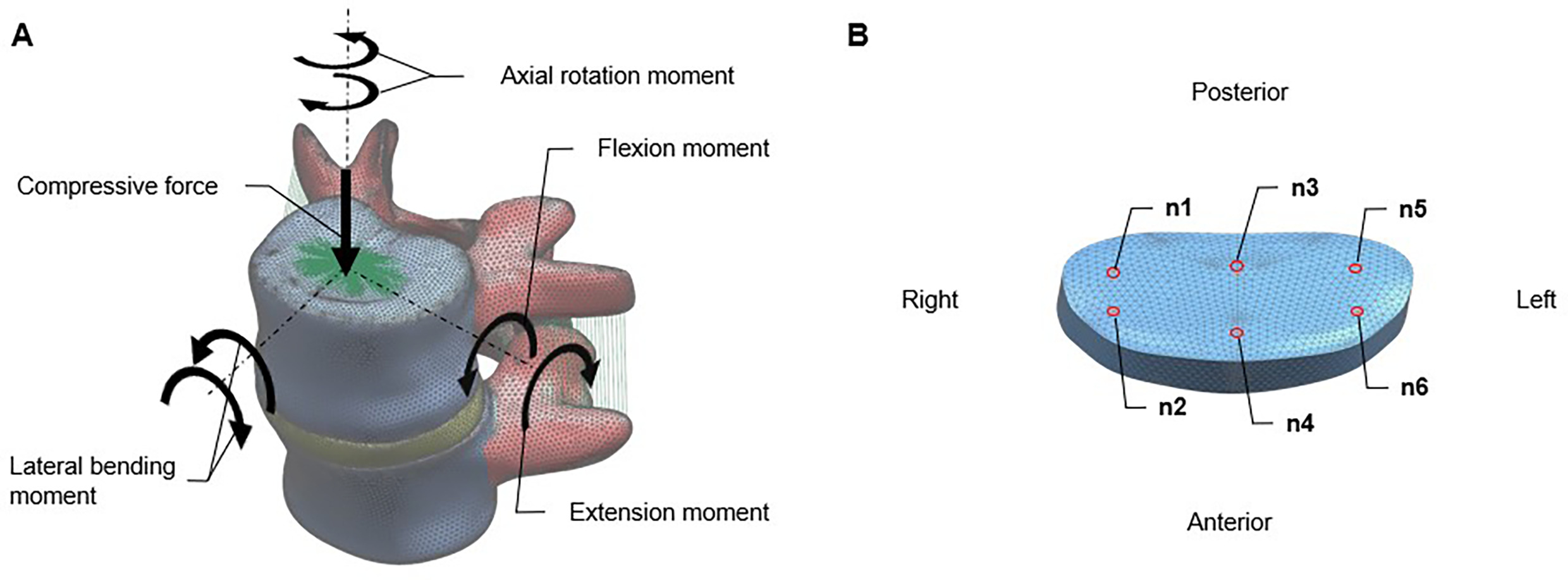 Fig. 2 
            a) Seven load conditions: compressive force only, axial rotation, right and left lateral bending, right and left axial rotation, flexion, and extension under a compressive force. b) Six nodes at major locations on the L4/5 intervertebral disc.
          