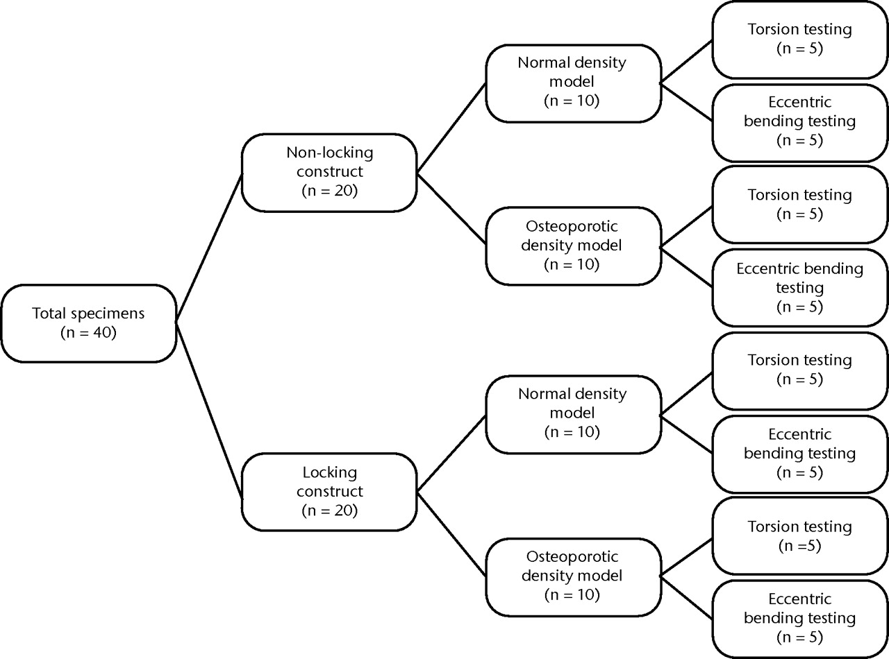 Fig. 1 
          Schematic illustration of the distribution
of specimens for testing.
        