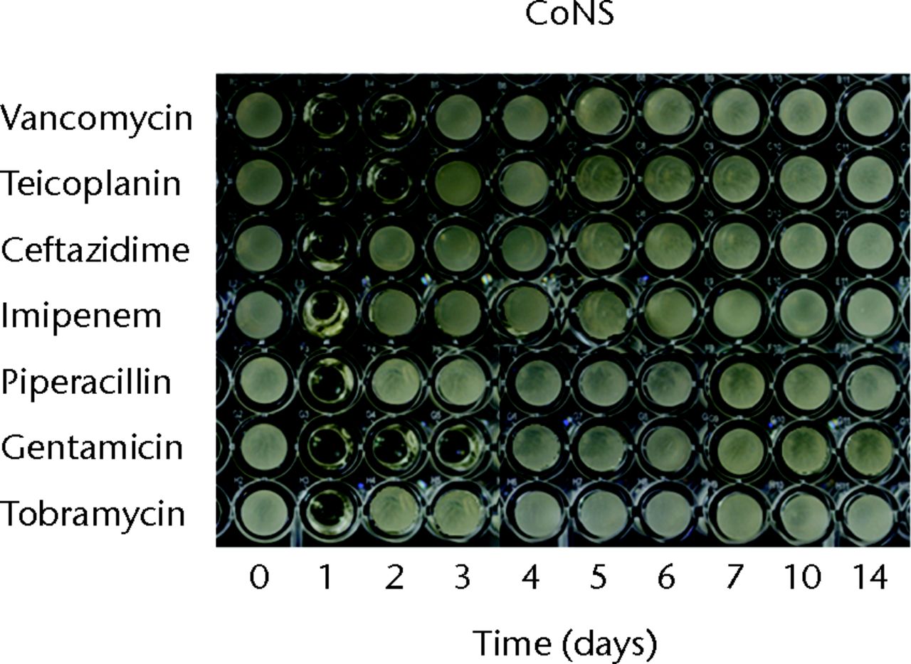 Figs. 1a - 1c 
          Micro-tube dilution bioassays
showing the antibacterial activities against gram-positive bacteria
in broth elution samples from the low-dose antibiotic loaded cements
(1 g antibiotic in 40 g polymethylmethacrylate) over a 14-day elution
period for a) methicillin-sensitive Staphylococcus aureus (MSSA),
b) methicillin-resistant Staph. aureus (MRSA) and
c) coagulase-negative staphylococci (CoNS).
        