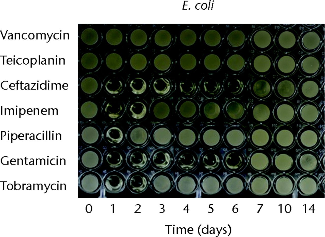 Figs. 2a - 2c 
          Micro-tube dilution bioassays
showing the antibacterial activities against gram-negative bacteria
in broth elution samples from the low-dose antibiotic loaded cements
(1 g antibiotic in 40 g polymethylmethacrylate) over a 14-day elution
period for a) Pseudomonas aeruginosa, b) Escherichia
coli and c) Klebsiella pneumoniae.
        