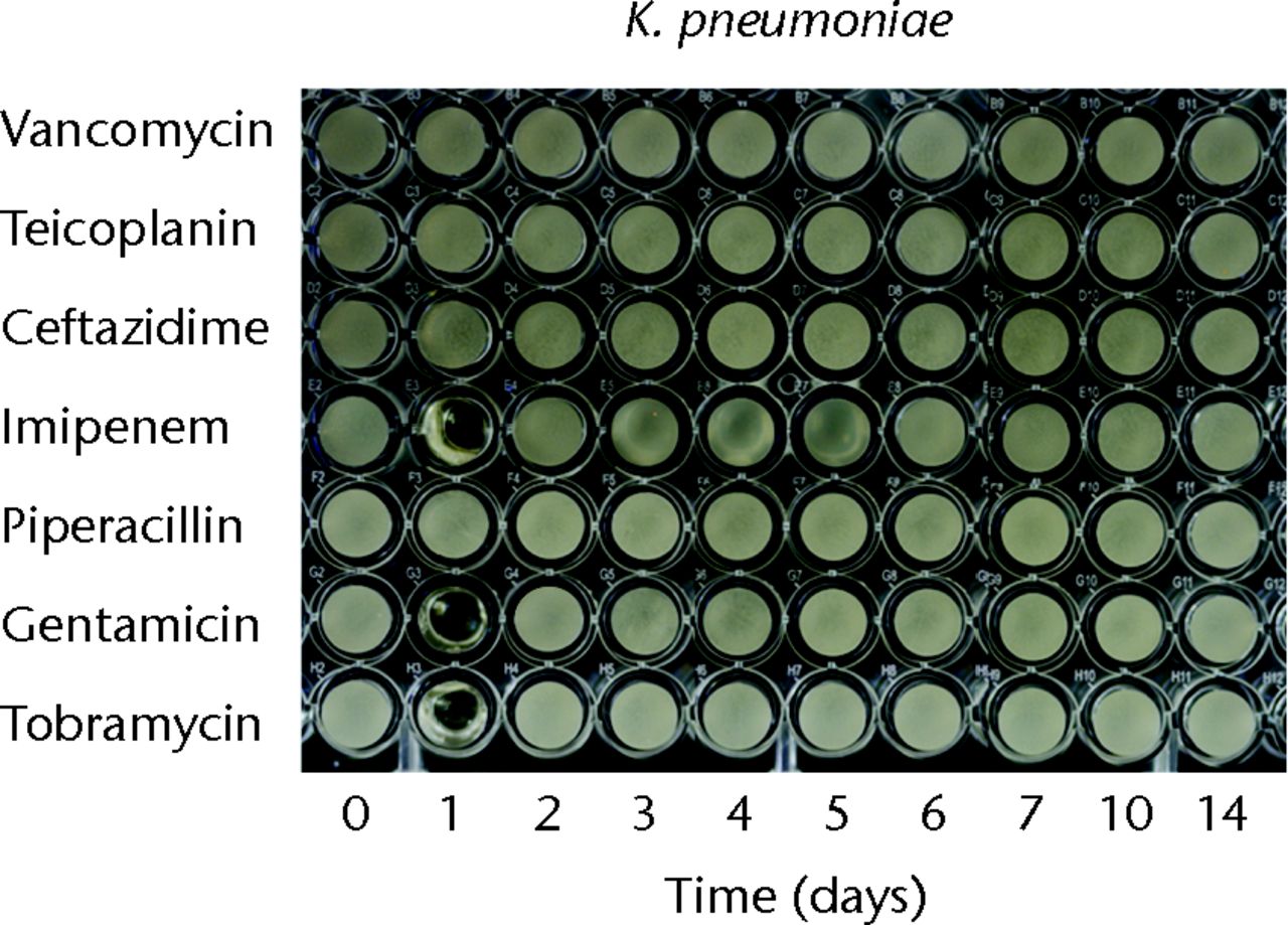 Figs. 2a - 2c 
          Micro-tube dilution bioassays
showing the antibacterial activities against gram-negative bacteria
in broth elution samples from the low-dose antibiotic loaded cements
(1 g antibiotic in 40 g polymethylmethacrylate) over a 14-day elution
period for a) Pseudomonas aeruginosa, b) Escherichia
coli and c) Klebsiella pneumoniae.
        