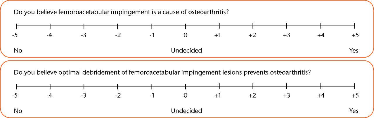 Fig. 1 
            Example questions using a bidirectional
linear scale to determine surgeon or patient opinion.
          