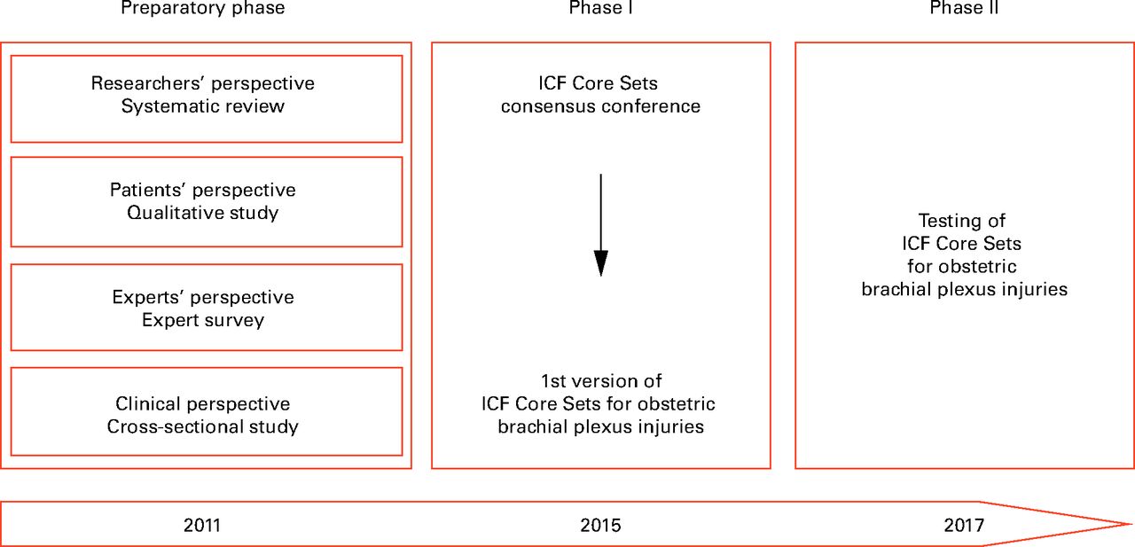 Fig. 2 
          Time schedule and phases of the project.
        