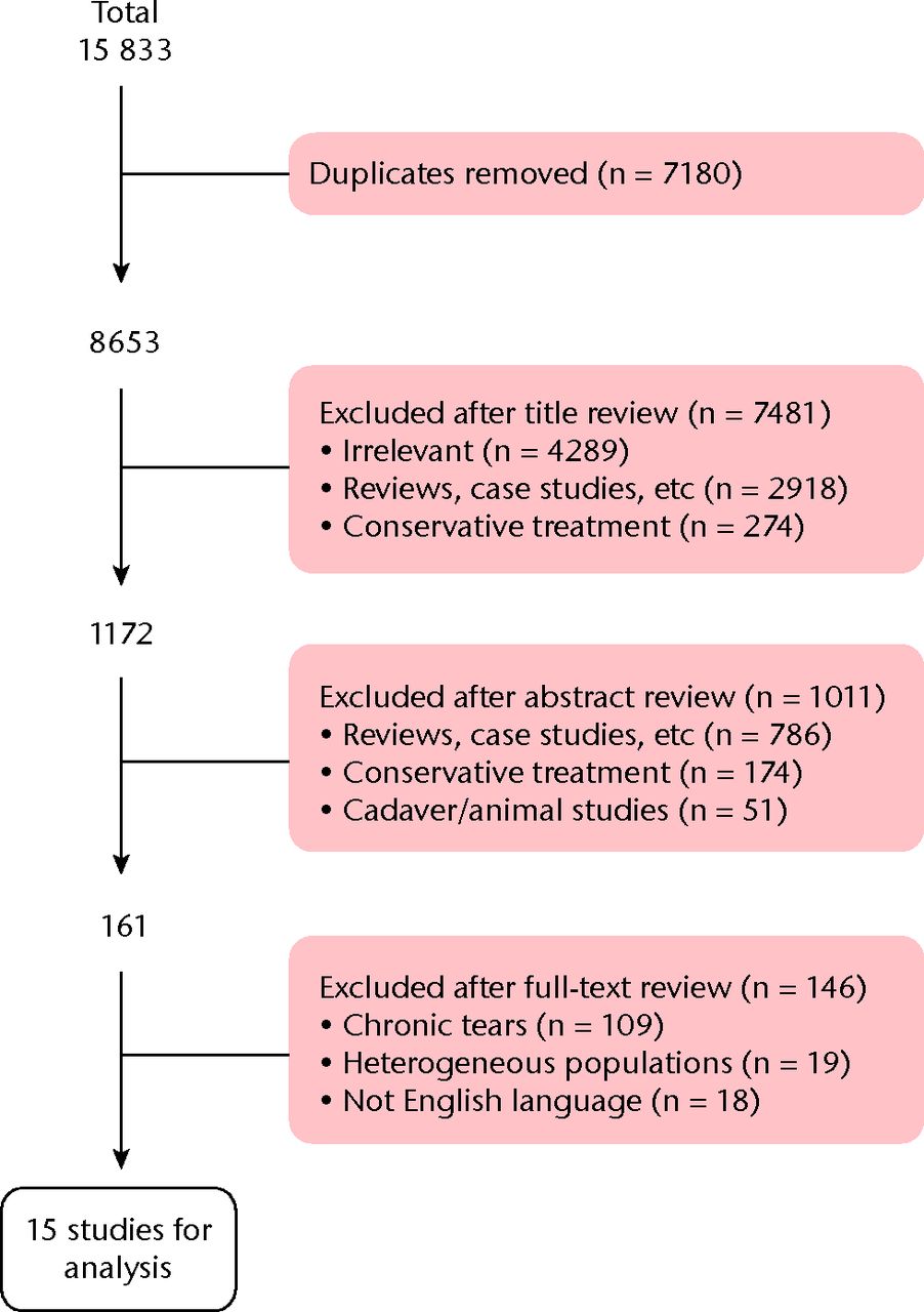 Fig. 1 
            Flowchart showing the literature search
strategy.
          