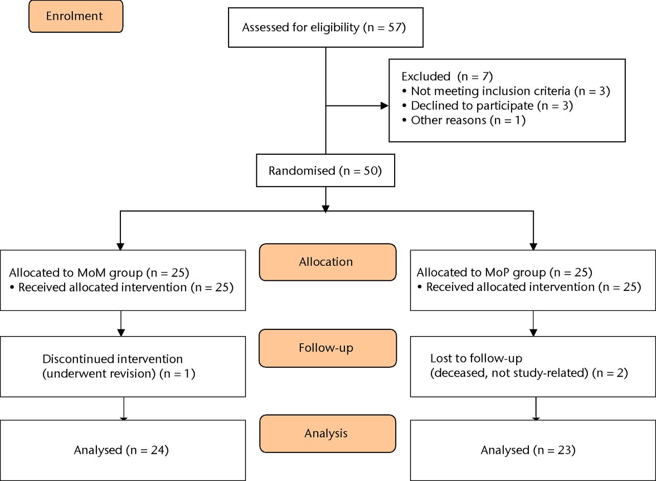 Fig. 1 
          Patient flow diagram.
        