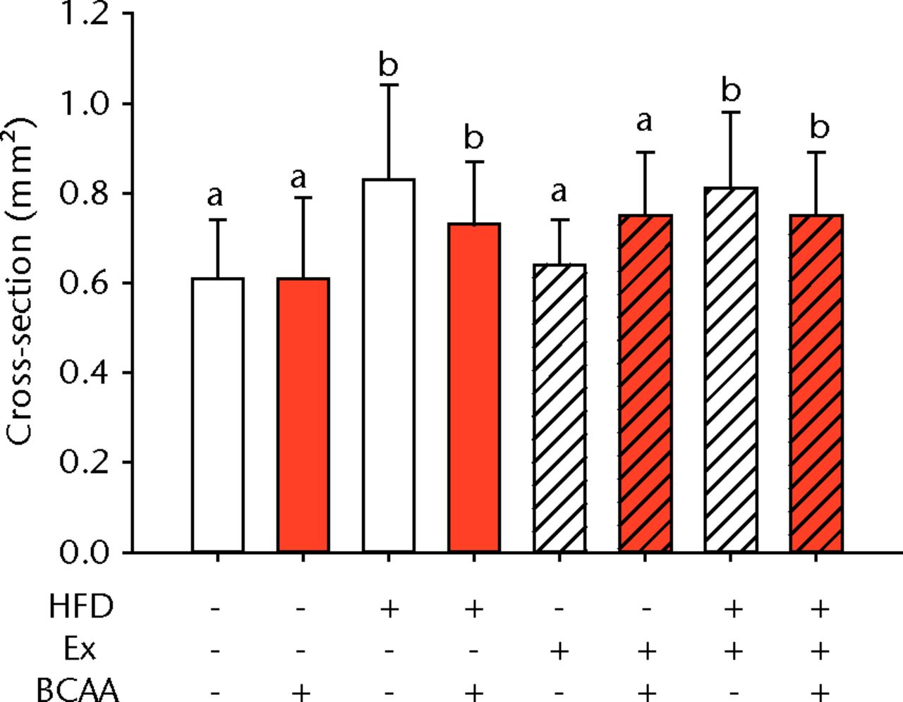 Figs. 2a - 2d 
            Bar charts of biomechanical
parameters, showing the mean a) tendon cross-section area, b) modulus,
c) maximum load and d) stiffness. Biomechanical parameters with
significant changes. For tendon cross-section (a), groups not sharing
a letter (‘a’ or ‘b’) are significantly different, based on a significant
main effect for high fat diet (HFD) and no other significant main
effects or interactions. For modulus (b), groups not sharing a letter
(‘a’, ‘b’, ‘c’, ‘d’, ‘e’, or ‘f’) are significantly different, based
on post-hoc comparisons following a significant
three-way interaction between HFD, exercise (Ex), and branched-chain
amino acid (BCAA). For maximum load (c), groups not sharing a letter
(‘a’ or ‘b’) are significantly different, based on a significant
main effect for exercise and no other significant main effects or
interactions. For stiffness (d), groups not sharing a letter (‘a’
or ‘b’) are significantly different, based on post-hoc comparisons
following significant two-way interactions between HFD and BCAA
as well as between exercise and BCAA. Error bars indicate standard
deviation.
          