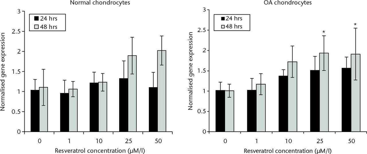 Fig. 1 
            Bar charts showing sirtuin 1 (SIRT1)
expression in normal (left) and osteoarthritic (OA) chondrocytes
(right) at 24 and 48 hours. Chondrocytes were incubated in six-well
plates with different concentrations of resveratrol (0, 1 µM/l,
10 µM/l, 25 µM/l and 50 µM/l). Data are shown as the mean from eight
samples with error bars denoting the standard deviation. * represents
statistically significant differences compared with the control
(0 µM) samples at the same incubation time. Transcript level was
normalized to GAPDH (glyceraldehyde 3-phosphate dehydrogenase) and
untreated control within the linear range of amplication.
          