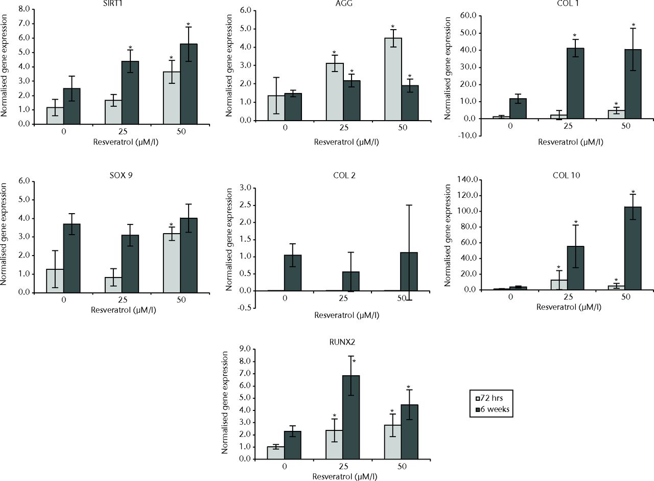 Fig. 3 
            Bar charts showing the expression of
sirtuin 1 (SIRT1) and chondrogenesis-related genes by concentration
of resveratrol in normal chondrocytes. Chondrocytes were cultured
on scaffolds with different concentrations of resveratrol (0, 25
µM/l and 50 µM/l) up to six weeks. Data are shown as the mean from
six samples with error bars denoting the standard deviation. * represents
statistically significant differences compared with the control
(0 µM) samples at the same incubation time. Transcript levels were
normalized to GAPDH and untreated controls within the linear range
of amplification. (AGG, aggrecan; COL, collagen; RUNX2, runt-related
transcription factor 2; GAPDH, glyceraldehyde 3-phosphate dehydrogenase).
          