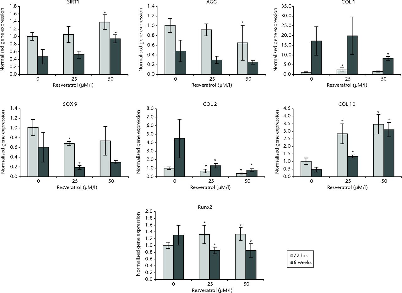 Fig. 4 
            Bar charts showing the expression of
sirtuin 1 (SIRT1) and chondrogenesis-related genes by concentration
of resveratrol in osteoarthritic chondrocytes. Chondrocytes were
cultured on scaffolds with different concentrations of resveratrol
(0, 25 and 50 µM/l) up to six weeks. Data are shown as the mean from
six samples with error bars denoting the standard deviation. * represents
statistically significant differences compared with the control
(0 µM) samples at the same incubation time Transcript levels were
normalized to GAPDH and untreated controls within the linear range
of amplification. (AGG, aggrecan; COL, collagen; RUNX2, runt-related
transcription factor 2; GAPDH, glyceraldehyde 3-phosphate dehydrogenase).
          