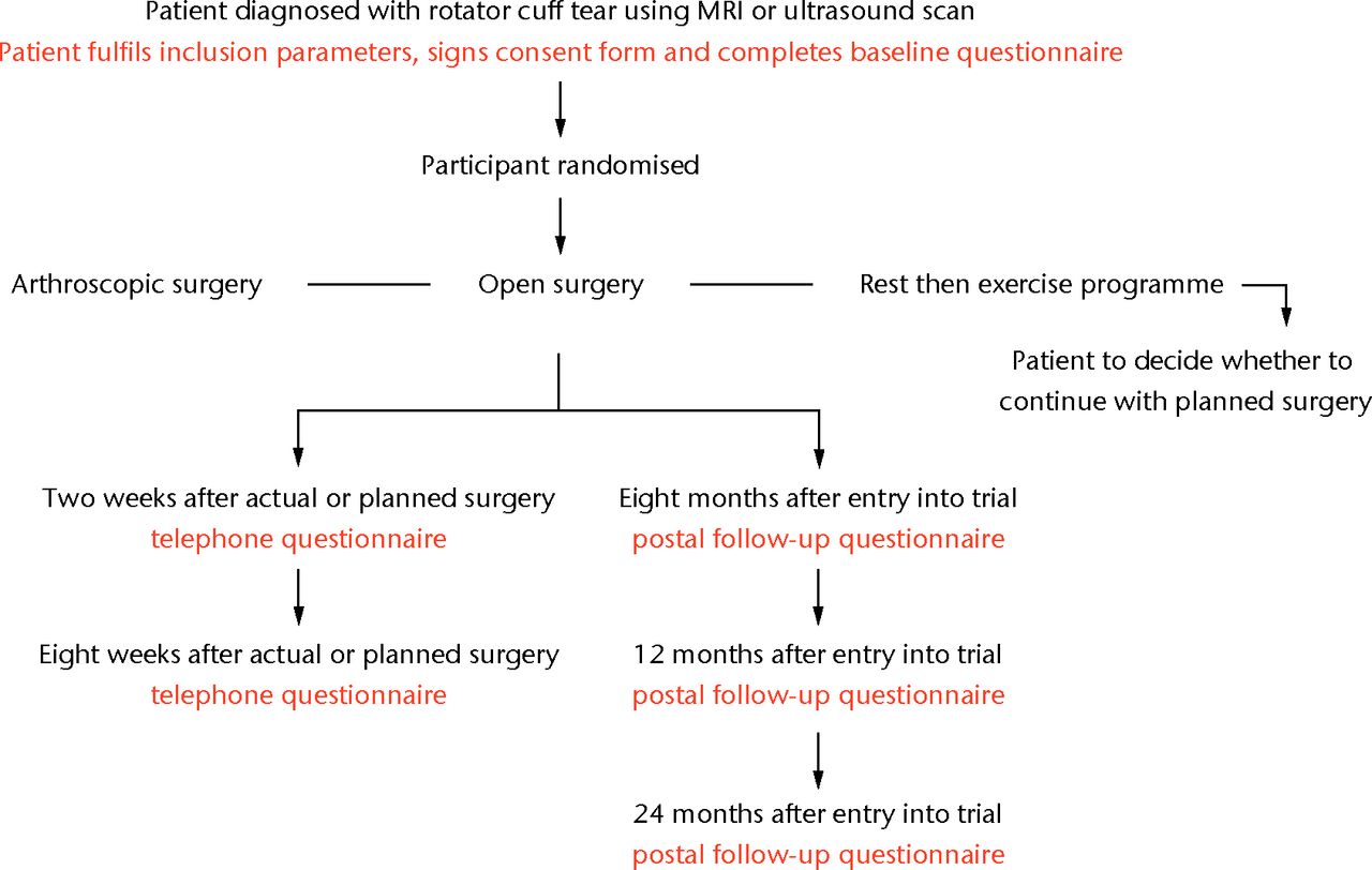 Fig. 1 
            Original trial flow chart.
          