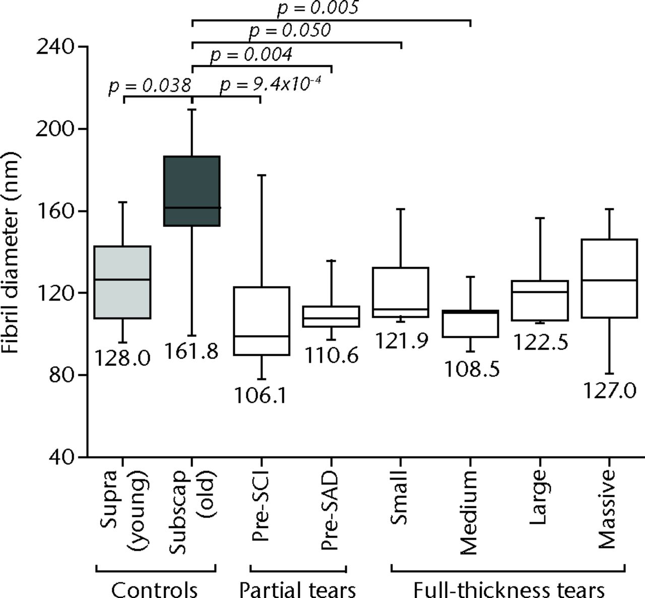 Fig. 3 
            Graph showing the mean angle between
fibrils measurements for different tear-size groups compared with
supra(spinatus) (young) and subscap(ularis) (old) control groups.
Significant differences exist between medium (p = 0.017) and massive
(p = 0.010) tear groups compared with the subscapularis control
group.
          