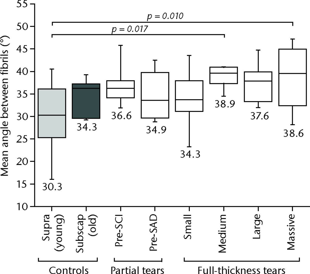 Fig. 4 
            Fibril diameter measurements for different
tear size groups compared with supras(pinatus) (young) and subscap(ularis)
(old) control groups. Significant differences exist between tear groups
and the control groups, although there are more differences compared with
the subscapularis control group than the supraspinatus controls.
          