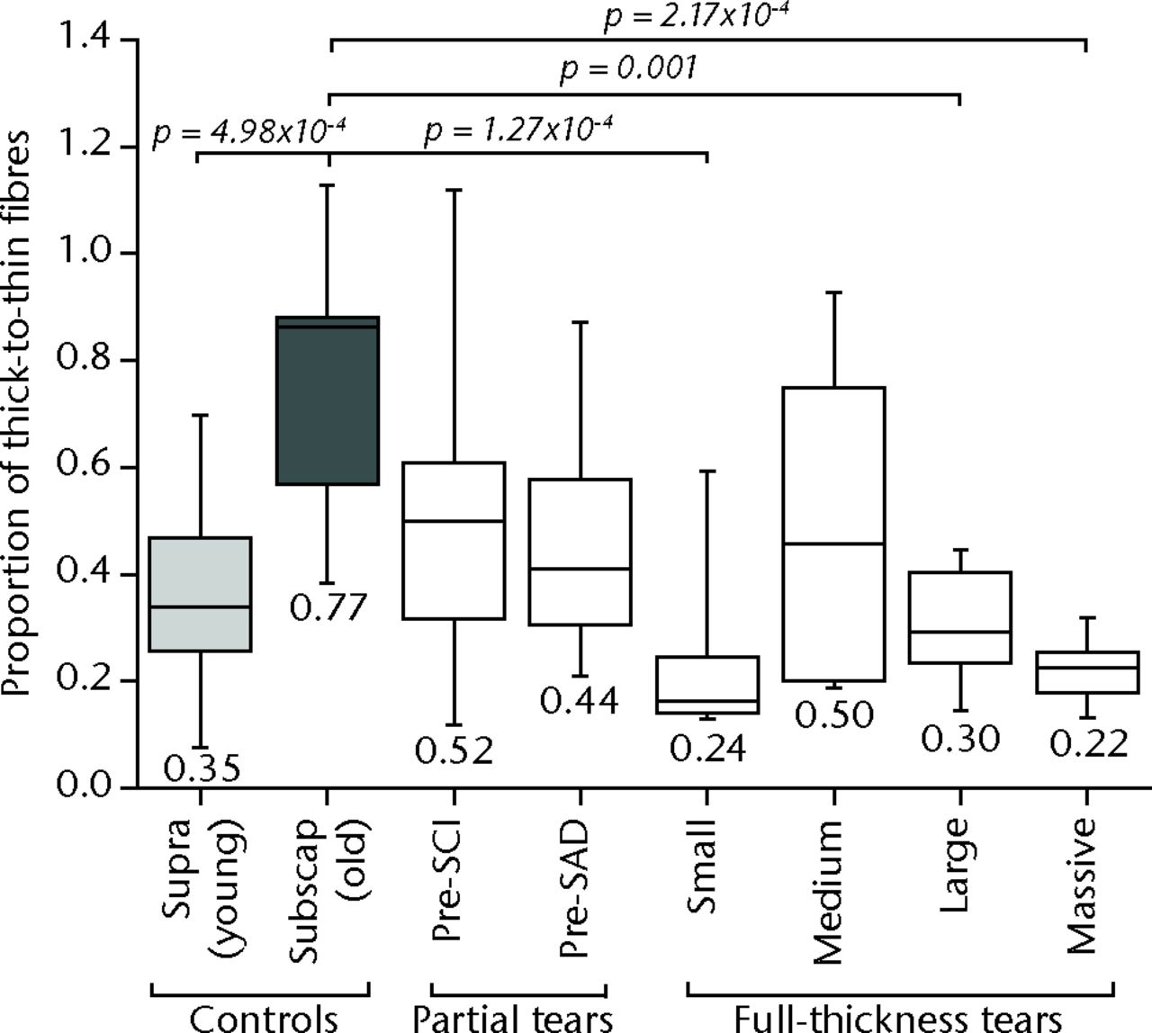 Fig. 5 
            Ratio of thick-to-thin fibres for different
tear size groups compared with supra(spinatus) (young) and subscap(ularis)
(old) control groups. Significant differences exist between the
two control groups, and between small, large and massive tear groups
compared with the supraspinatus control group.
          