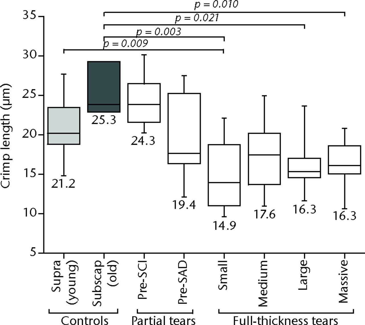 Fig. 6 
            Crimp length measurements for different
tear size groups compared with supra(spinatus) (young) and subscap(ularis)
(old) control groups. Significant differences exist between the
two control groups, and between small, large and massive tear groups compared
with the supraspinatus control group.
          