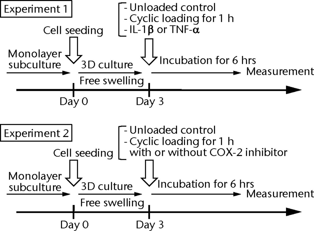 Figs. 1a - 1e 
            Figure 1a – 3D cell–scaffold
constructs made using collagen scaffolds (AtelloCell, MIGHTY); b)
monitor and controller; c) Cyclic load stimulater (CLS-5J-Z, Technoview,
Osaka, Japan) in the incubator; d) Schematic representation of the
cyclic load stimulator, cyclic-loaded samples, and unloaded samples;
e) Experimental protocol for cyclic compressive loading on 3D constructs.
          