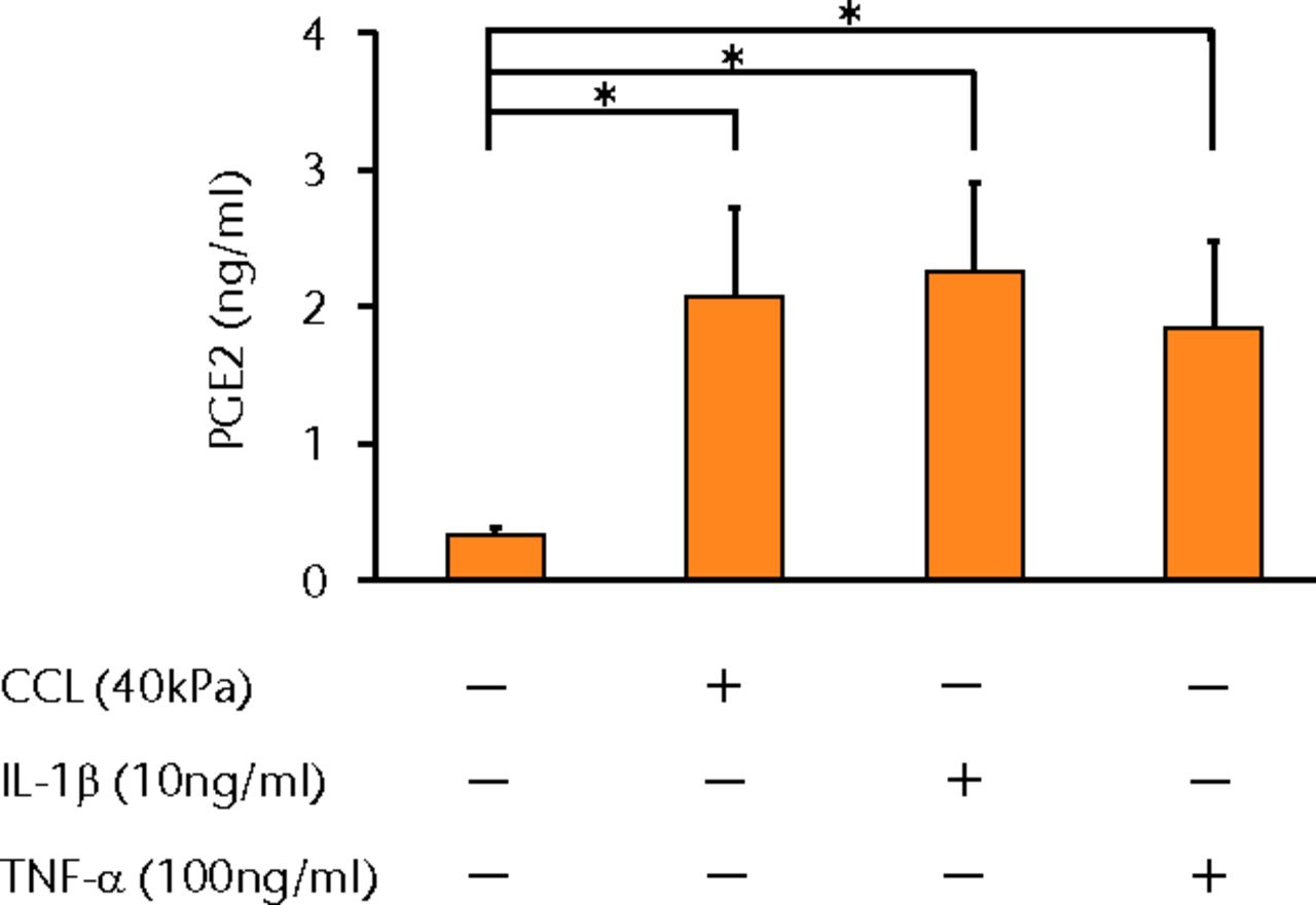 Figs. 2a - 2g 
            Graphs showing the
expressions of PGE2 and related molecules by cyclic compressive
loading. a) PGE2 was significantly upregulated by cyclic compressive
loading, interleukin- (IL-)1β, or tumour necrosis factor- (TNF)-α (n =
7). b) IL-6 (n = 6) and c) IL-8 (n = 6) were significantly upregulated
by cyclic compressive loading. d) IL-1β (n = 6) and e) TNF-α (n
= 6) were not upregulated by cyclic compressive loading. f) COX-2
(n = 6) and g) mPGES-1 (n = 5) mRNA levels were significantly upregulated
by cyclic compressive loading (CCL;cyclic compressive loading)*p
<
 0.01.
          